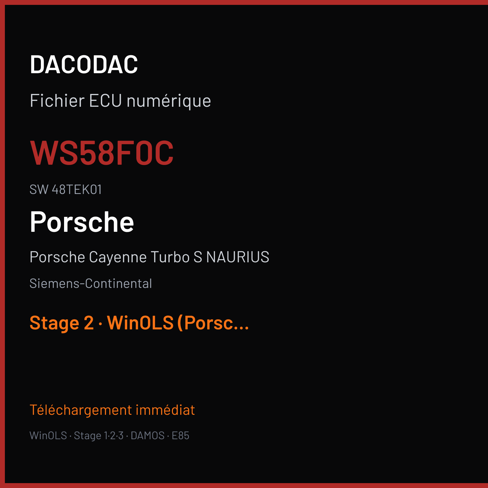 Porsche Cayenne Turbo S NAURIUS 500 ch (2008) — Siemens-Continental — WS58F0C · 48TEK01 · 95860153221 W05008F000000 SDI8 — Stage 2