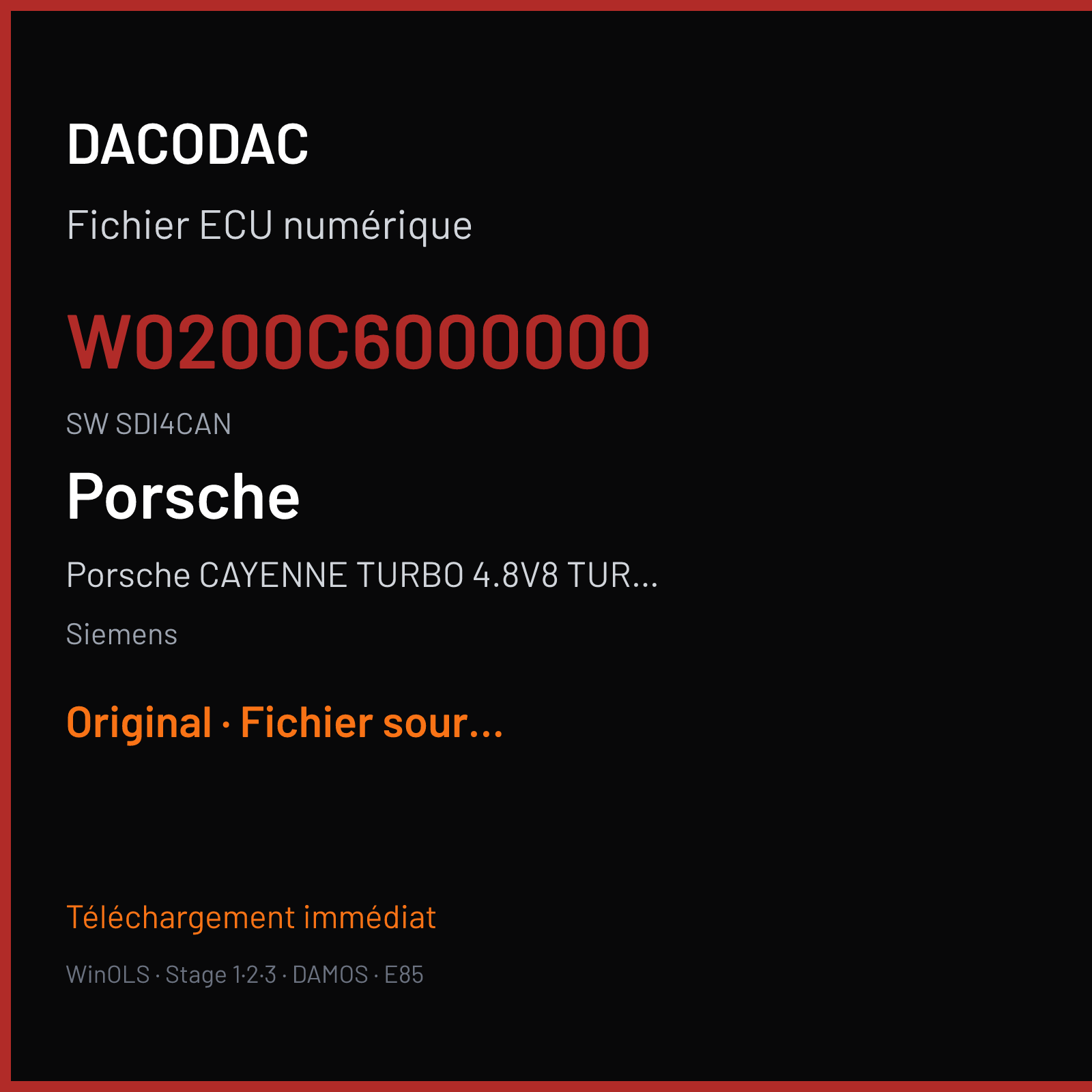 Porsche CAYENNE TURBO 4.8V8 TURBO (2007) — Siemens — W0200C6000000 · SDI4CAN — Original