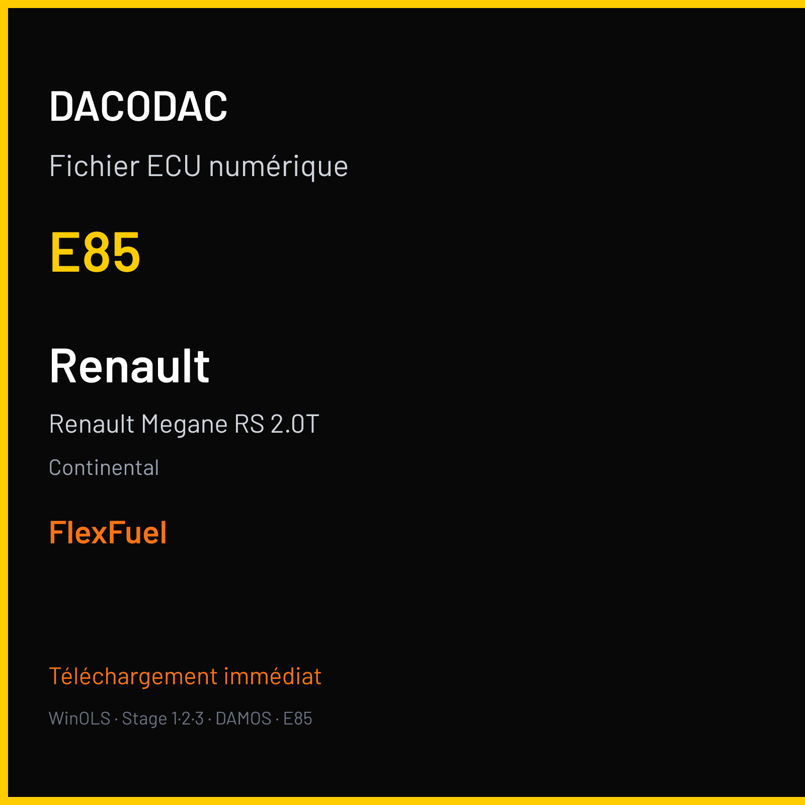 Renault Megane RS 2.0T (2012) — Continental — E85 — FlexFuel