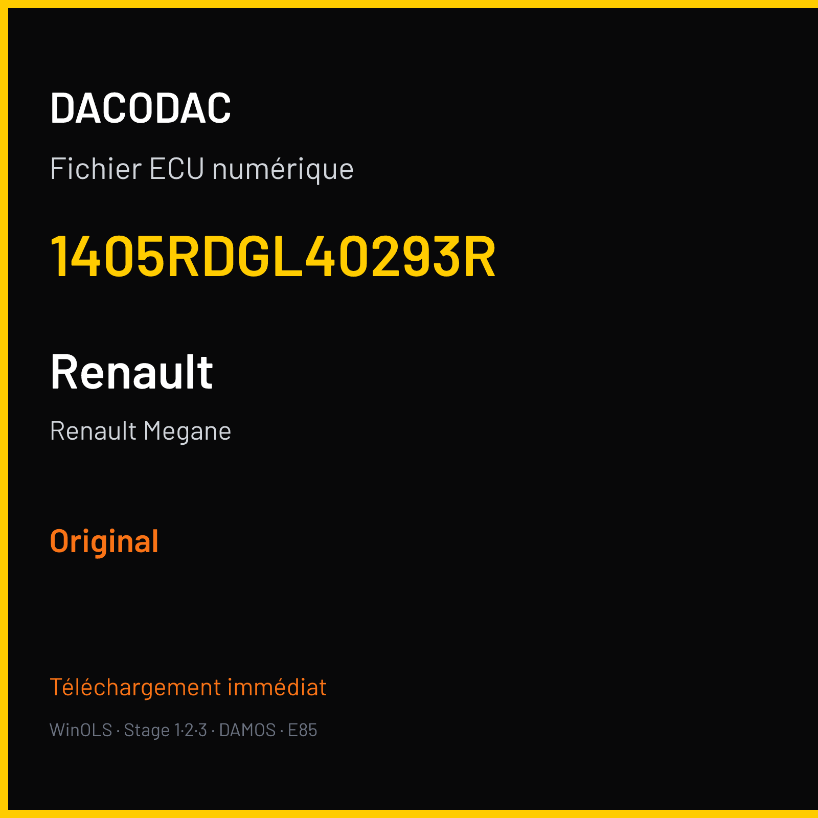 Renault Megane — 1405RDGL40293R — Original
