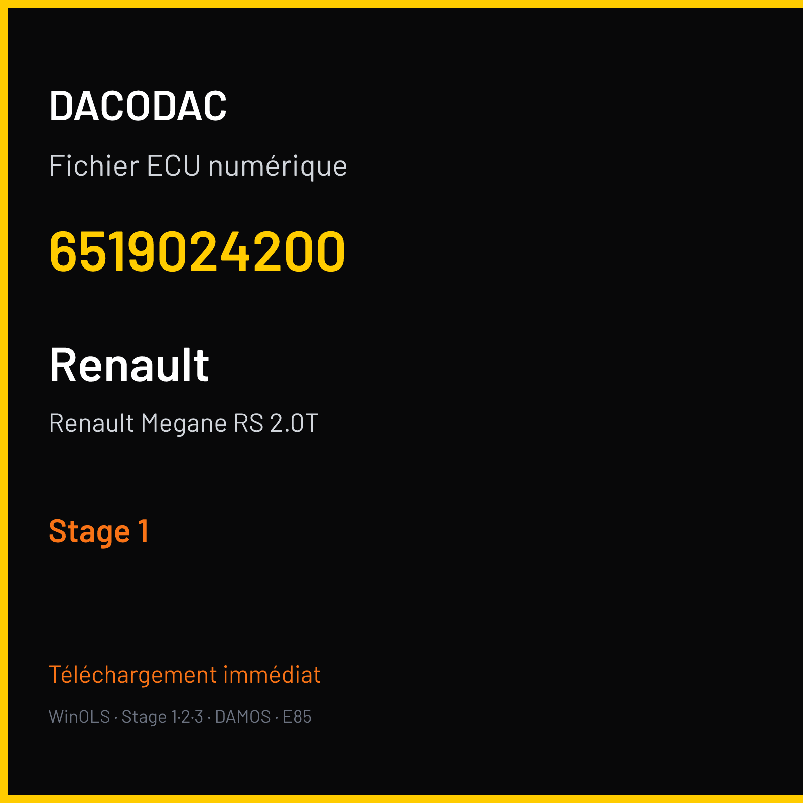 Renault Megane RS 2.0T — 6519024200 — Stage 1