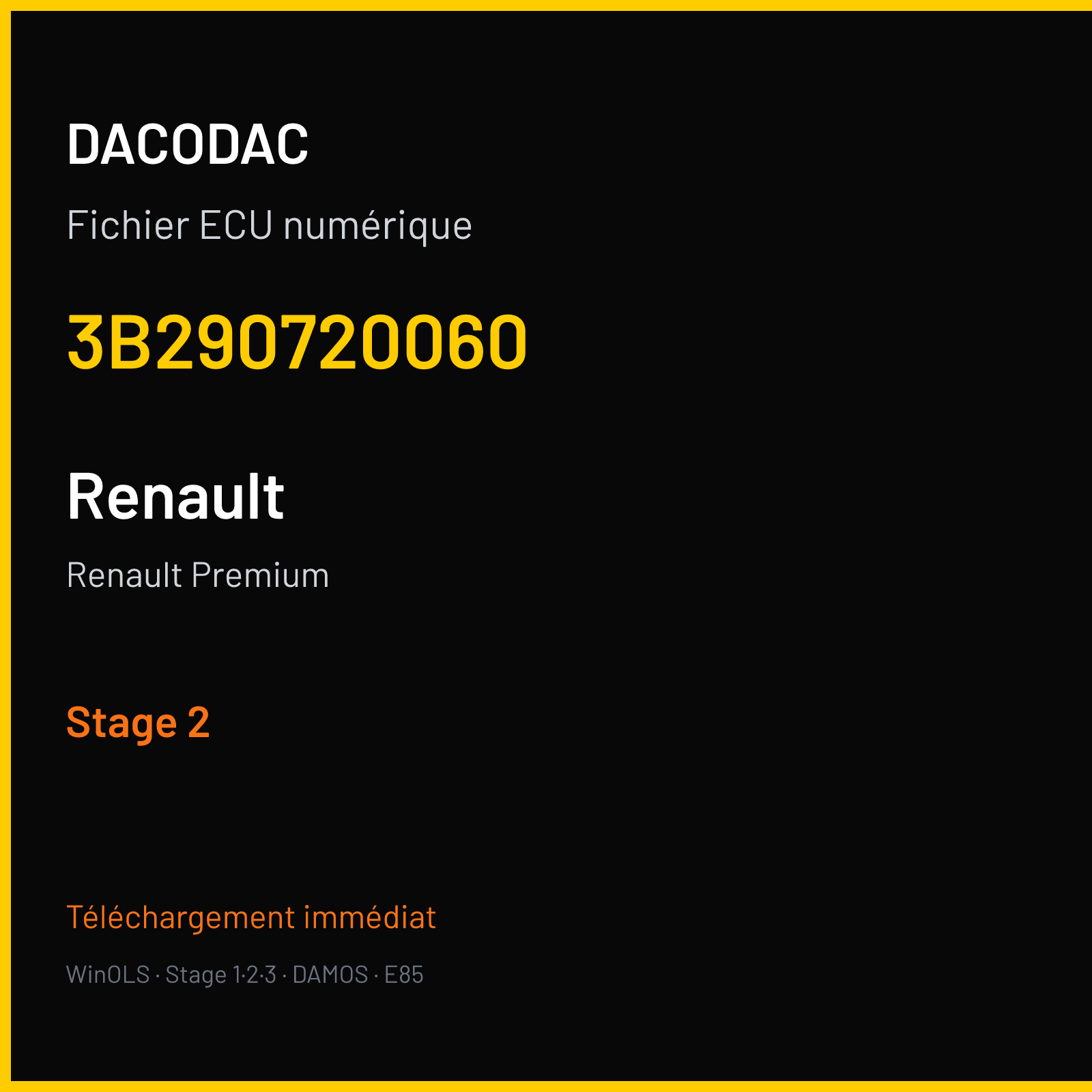 Renault Premium (2007) — 3B290720060 — Stage 2