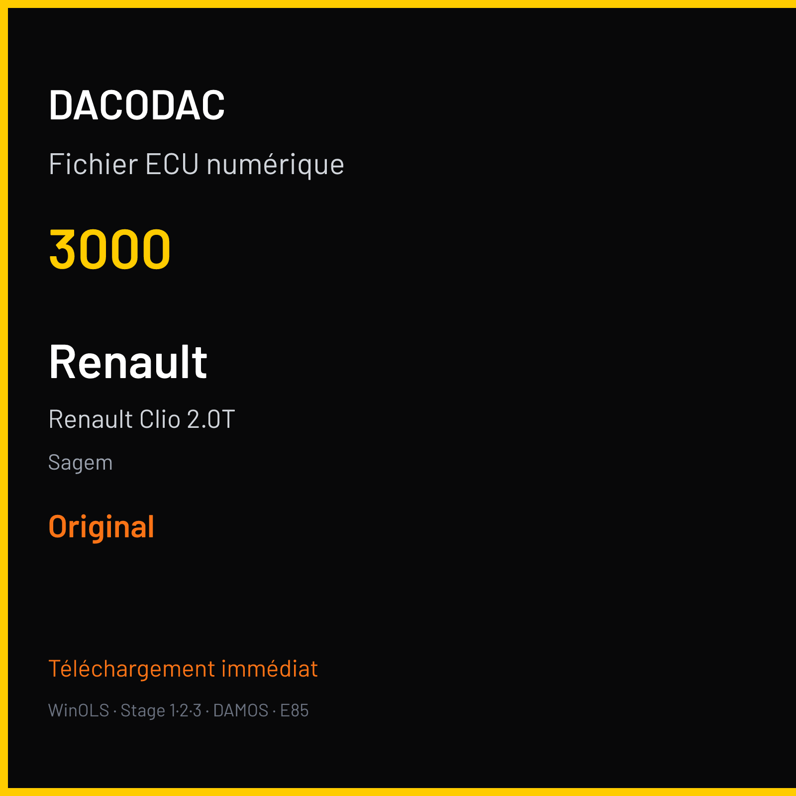 Renault Clio 2.0T (2013) — Sagem — 3000 — Original