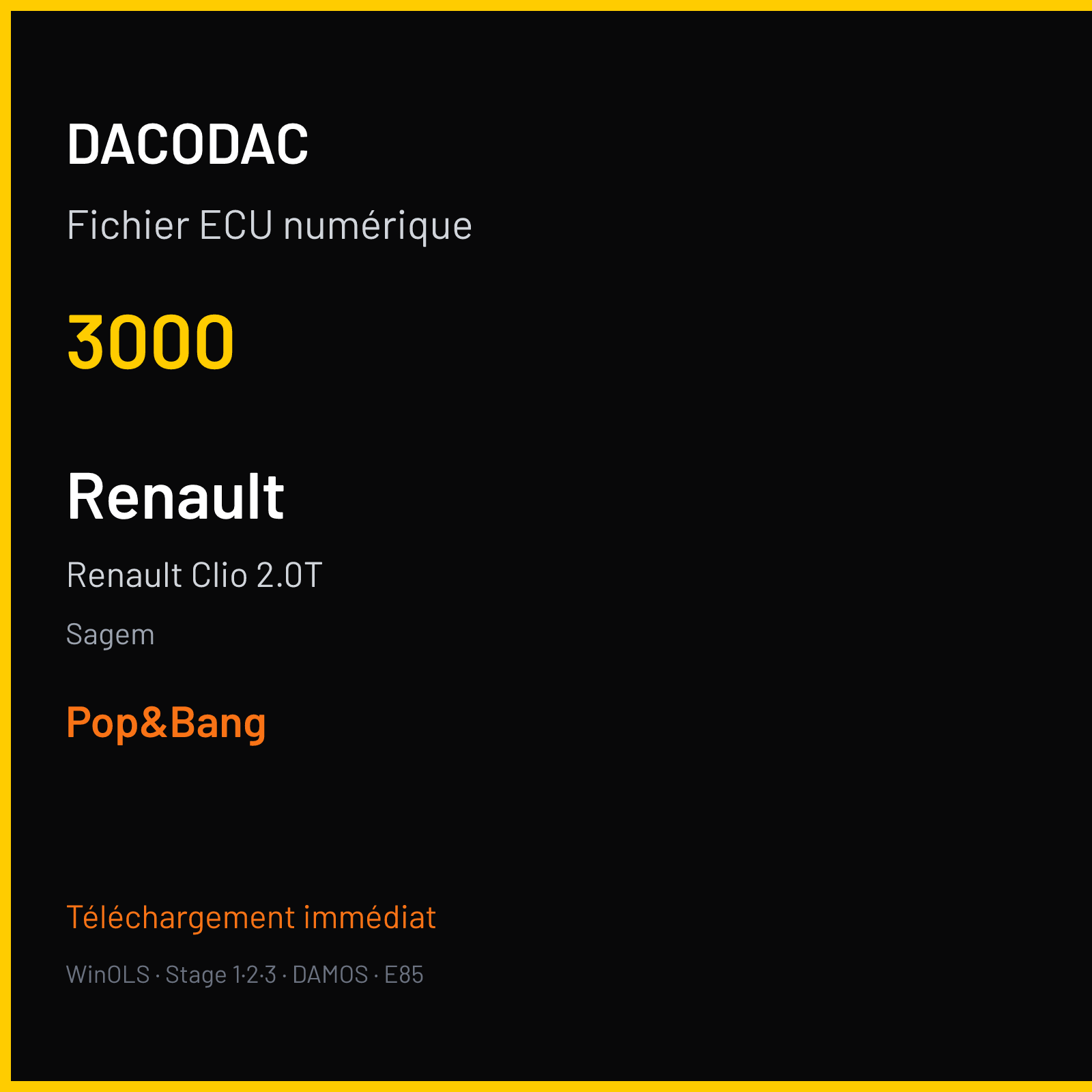 Renault Clio 2.0T (2011) — Sagem — 3000 — Pop&Bang