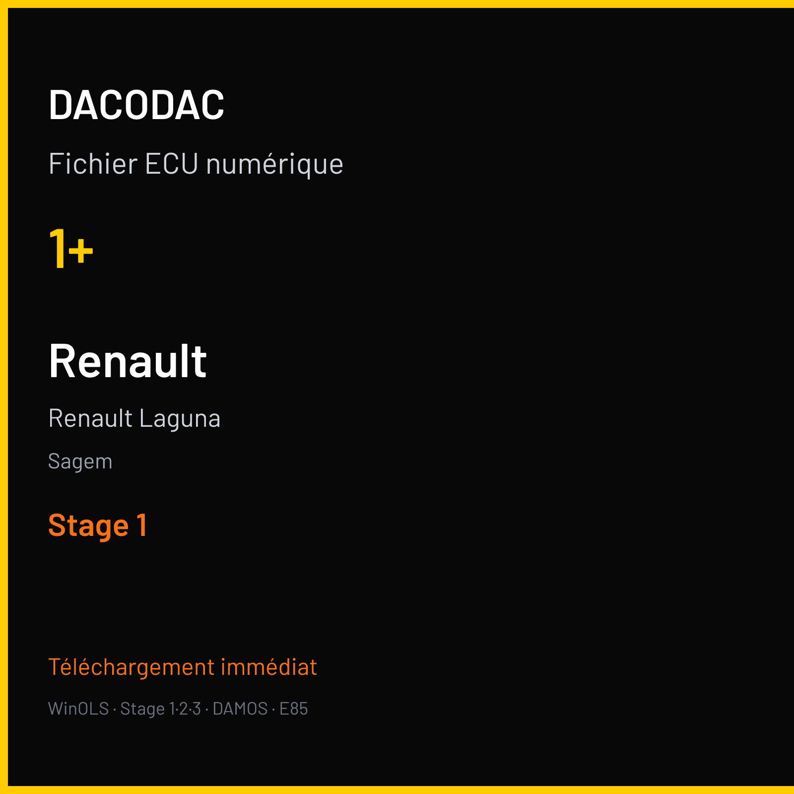 Renault Laguna (2000) — Sagem — 1+ — Stage 1