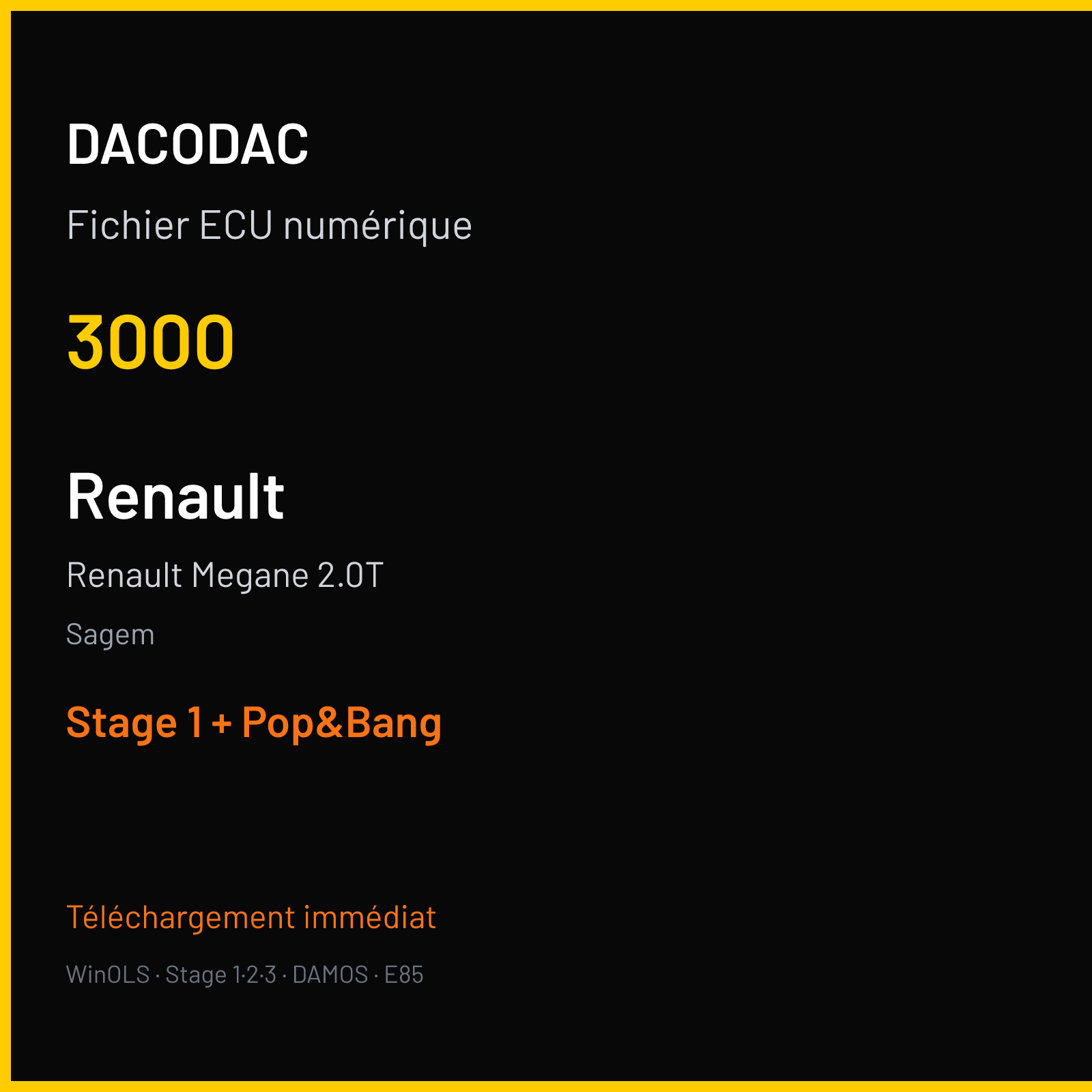 Renault Megane 2.0T — Sagem — 3000 — Stage 1 + Pop&Bang