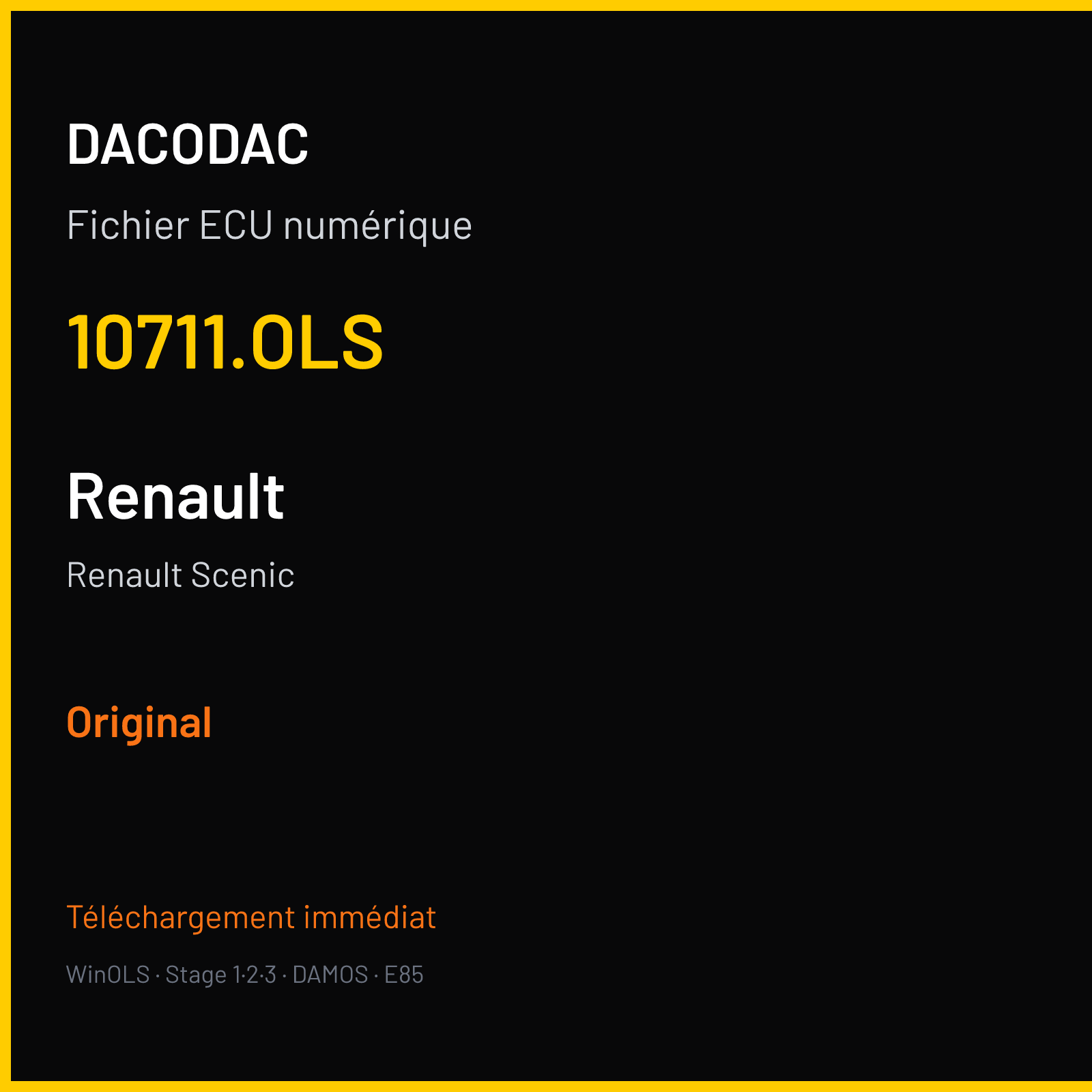 Renault Scenic (2013) — 10711.OLS — Original