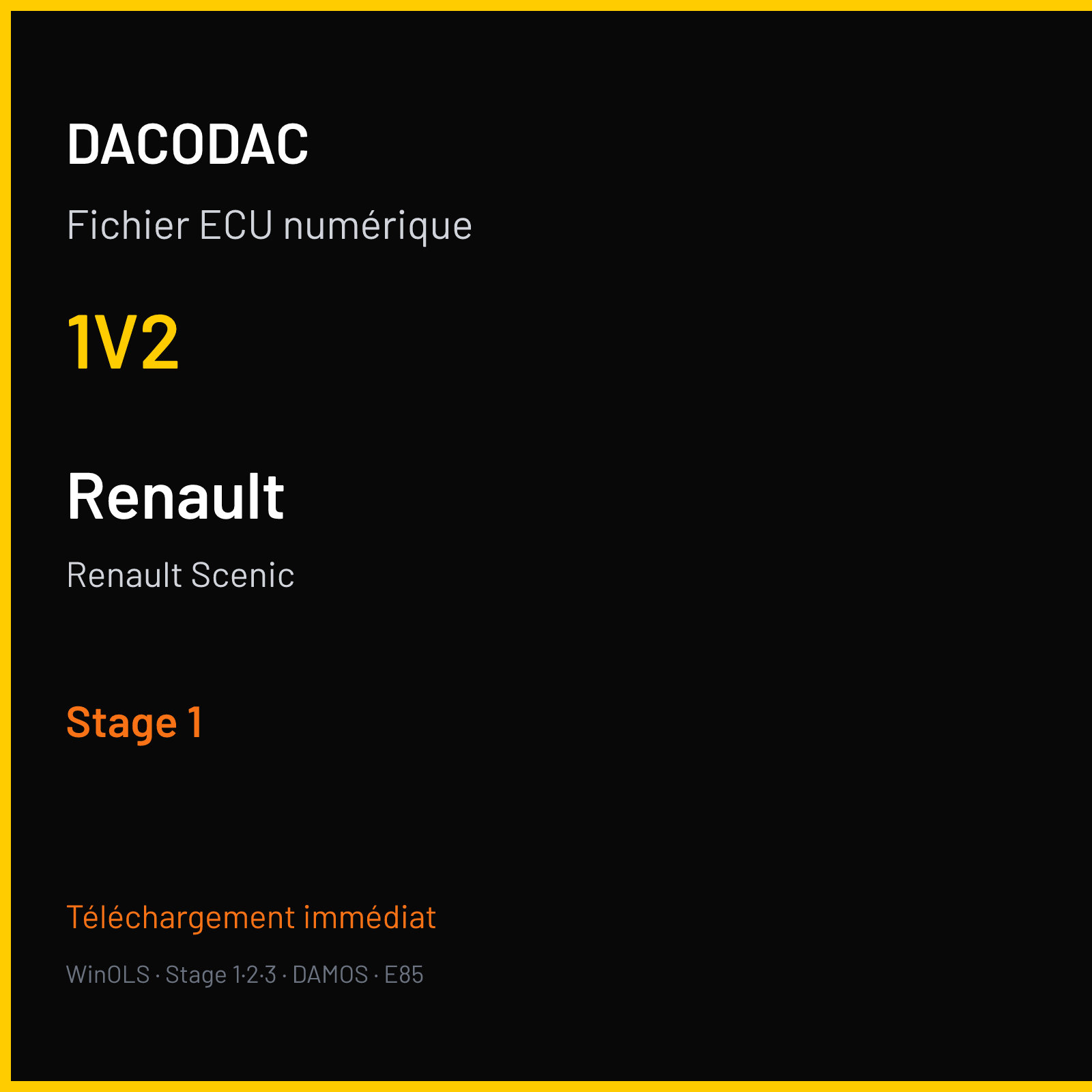 Renault Scenic (2009) — 1V2 — Stage 1