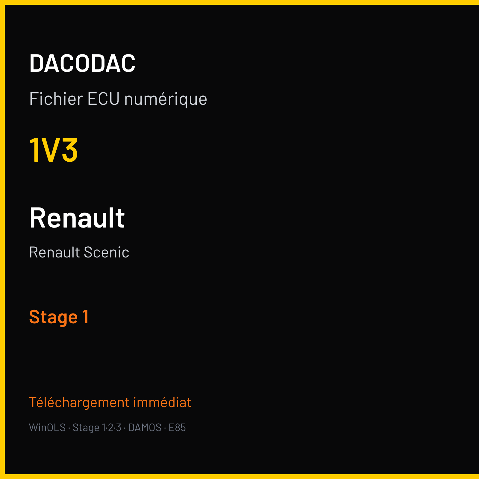 Renault Scenic (2009) — 1V3 — Stage 1
