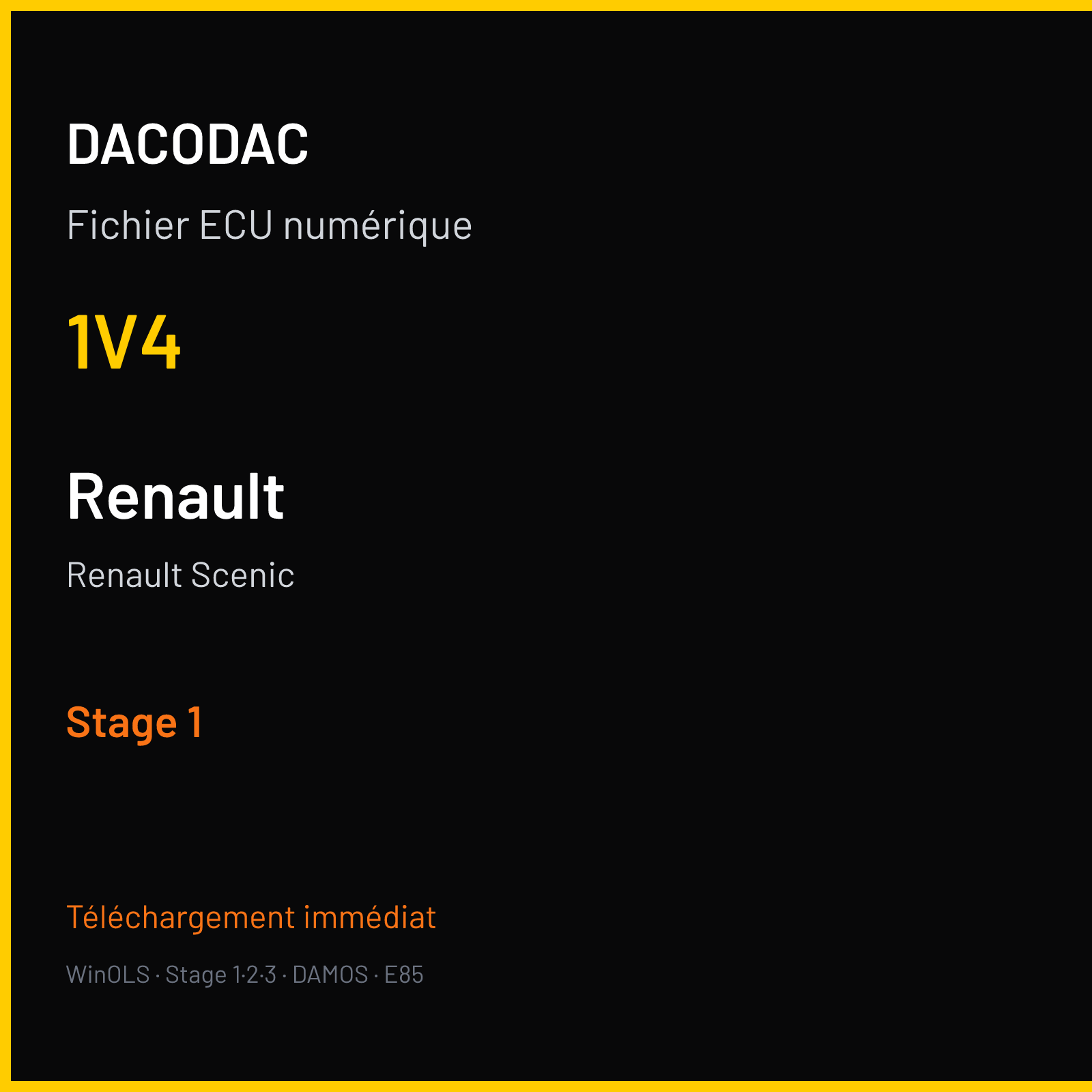 Renault Scenic (2009) — 1V4 — Stage 1