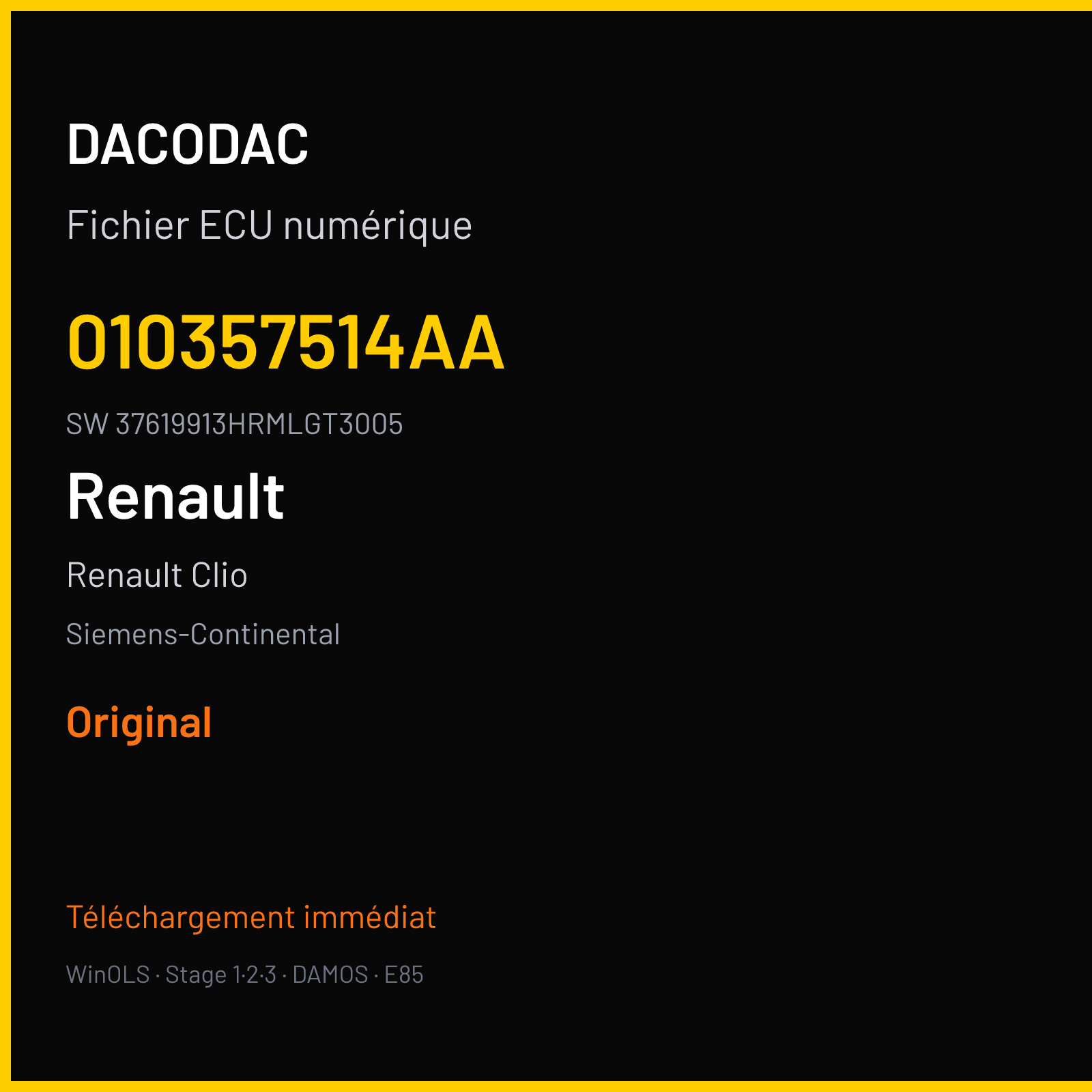 Renault Clio 220 ch — Siemens-Continental — 010357514AA · 37619913HRMLGT3005 · RD6RD62291000000 — Original