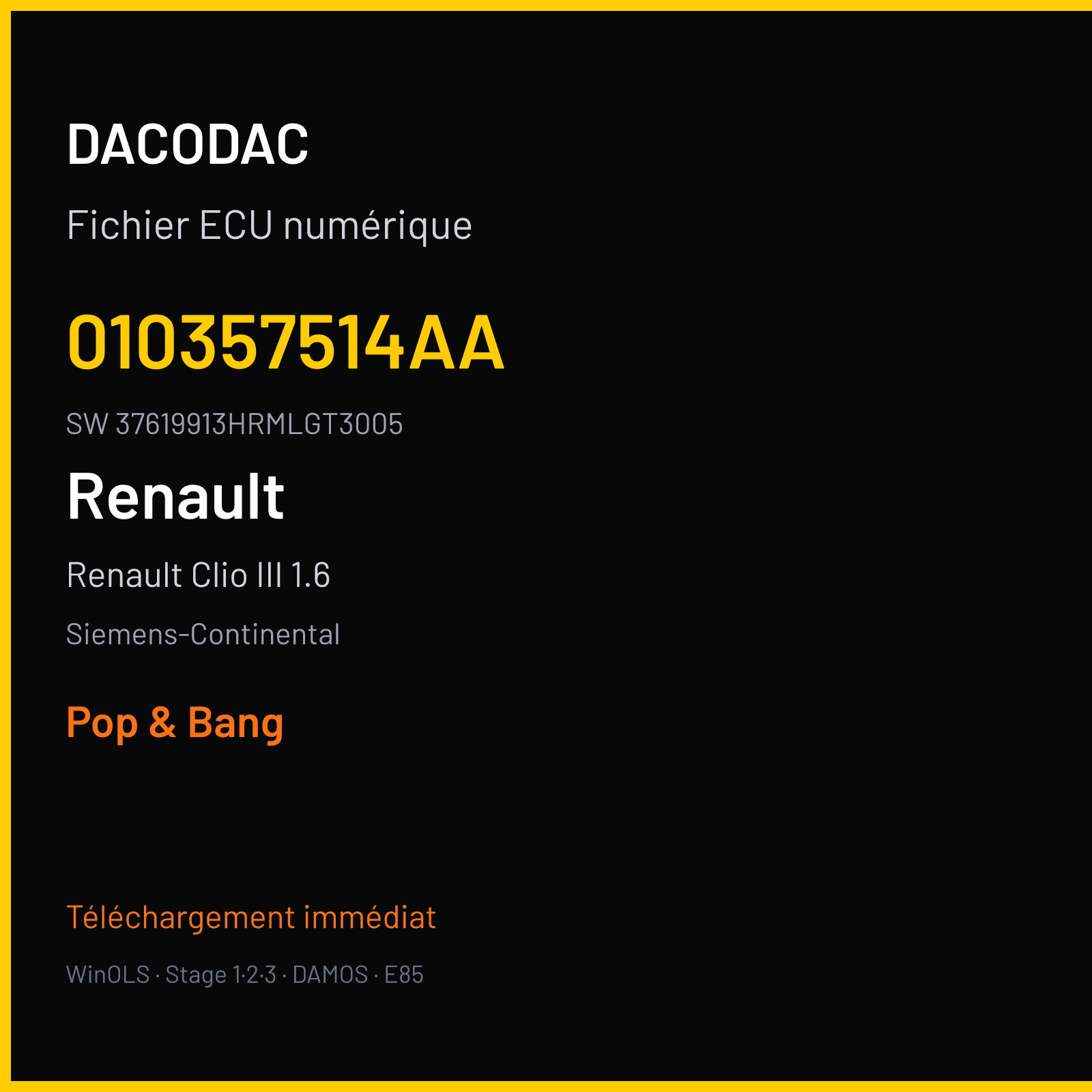 Renault Clio III 1.6 200 ch — Siemens-Continental — 010357514AA · 37619913HRMLGT3005 · RD6RD62291000000 NoData — Pop & Bang