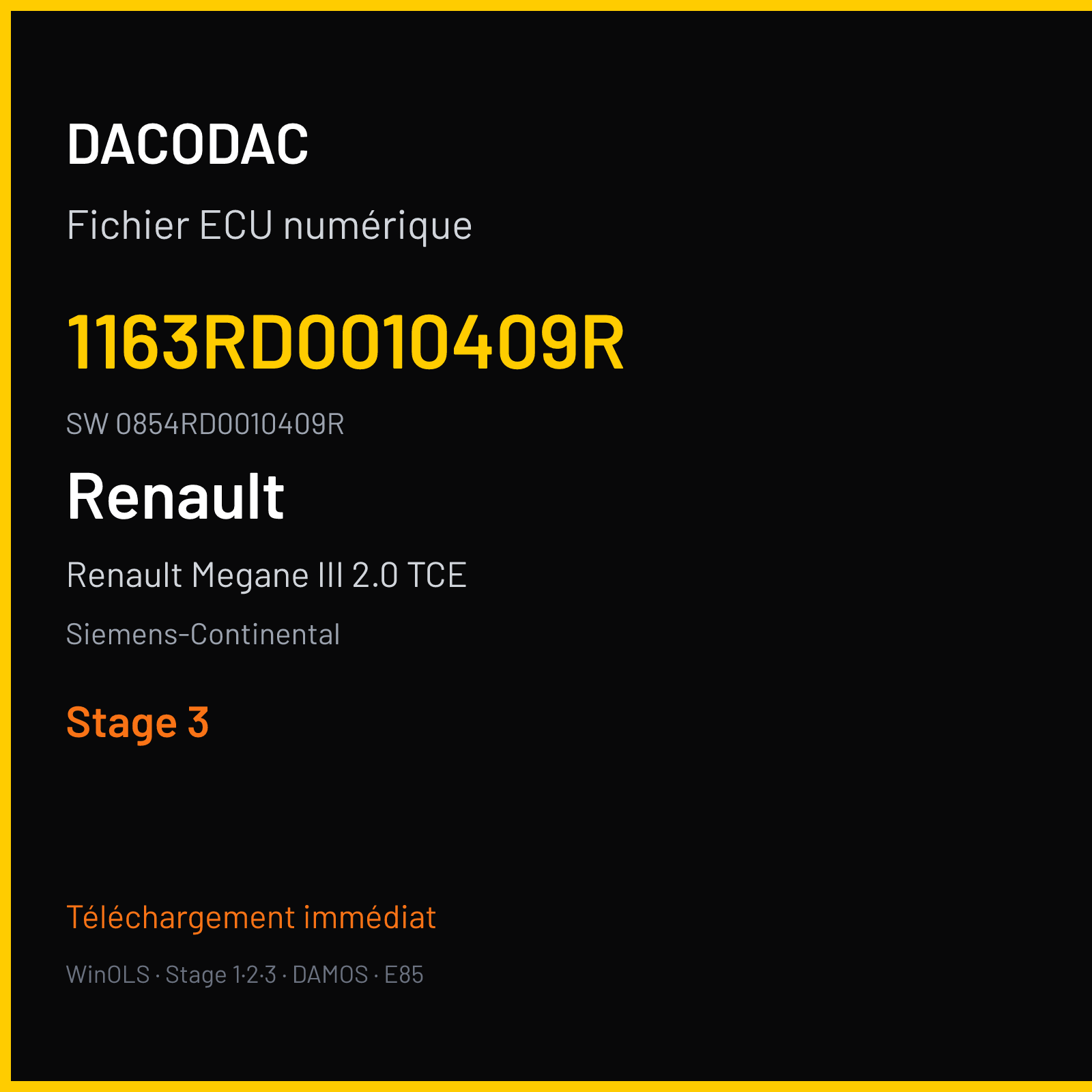 Renault Megane III 2.0 TCE 250 ch (2011) — Siemens-Continental — 1163RD0010409R · 0854RD0010409R · RD9A197000000 EMS3110-EMS3150 — Stage 3
