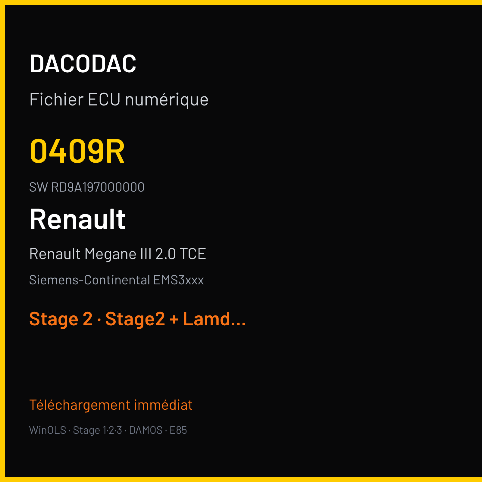 Renault Megane III 2.0 TCE (2011) — Siemens-Continental EMS3xxx — 0409R · RD9A197000000 — Stage 2