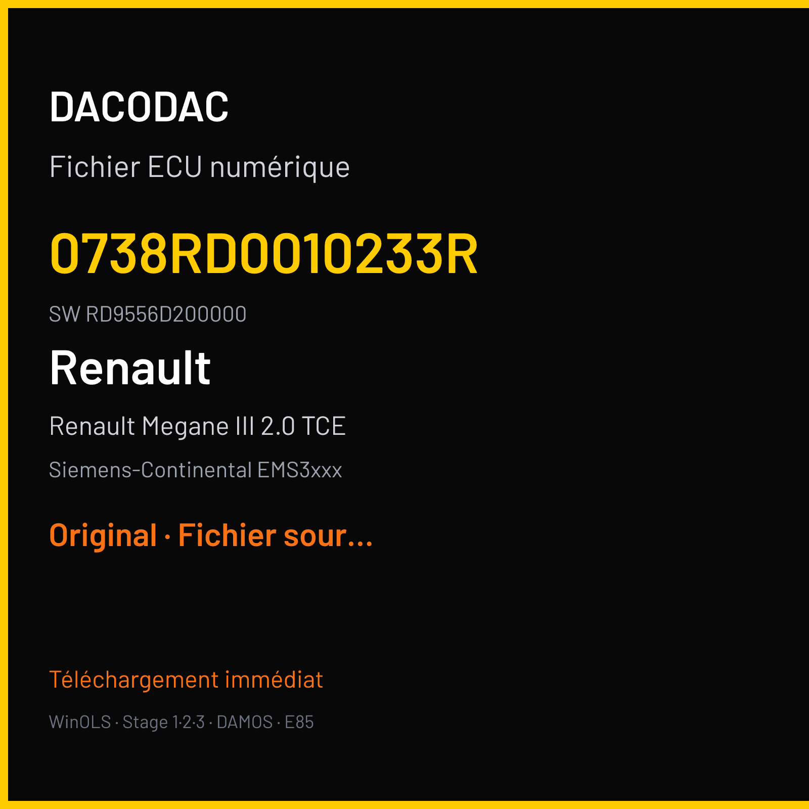 Renault Megane III 2.0 TCE (2010) — Siemens-Continental EMS3xxx — 0738RD0010233R · RD9556D200000 — Original