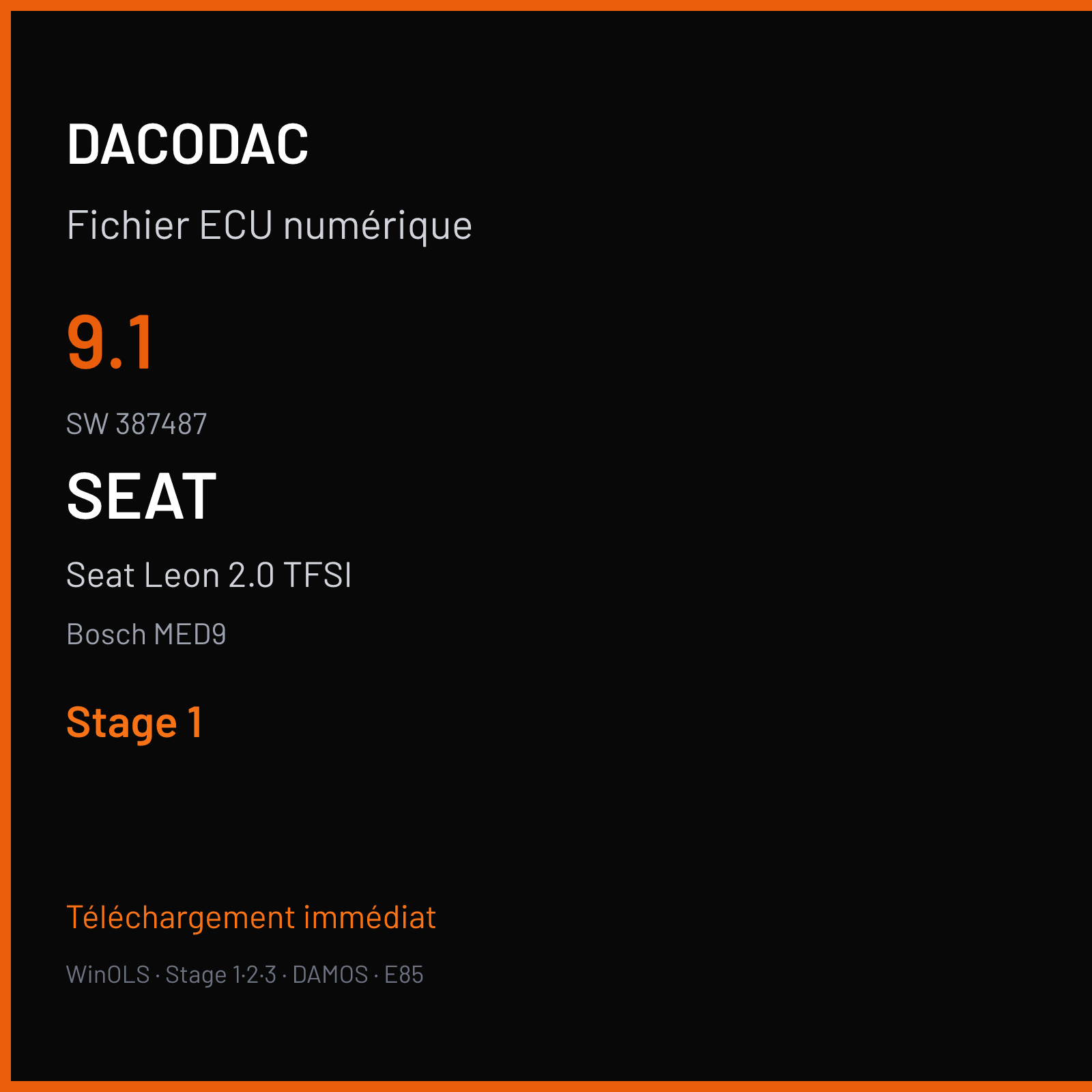 Seat Leon 2.0 TFSI (2006) — Bosch MED9 — 9.1 · 387487 — Stage 1
