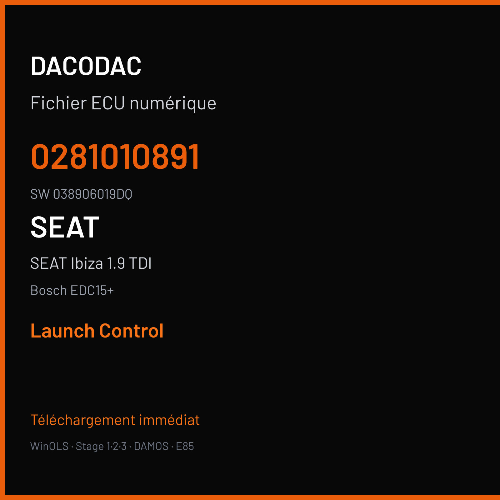 SEAT Ibiza 1.9 TDI 130 ch (2003) — Bosch EDC15+ — 0281010891 · 038906019DQ · 363556 — Launch Control