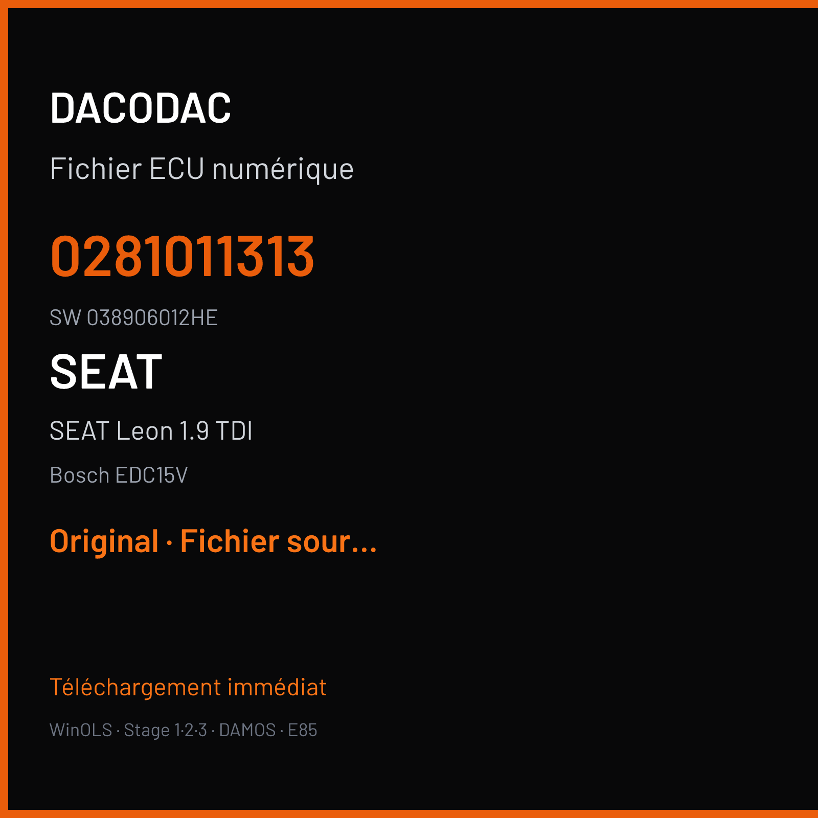 SEAT Leon 1.9 TDI (2001) — Bosch EDC15V — 0281011313 · 038906012HE — Original