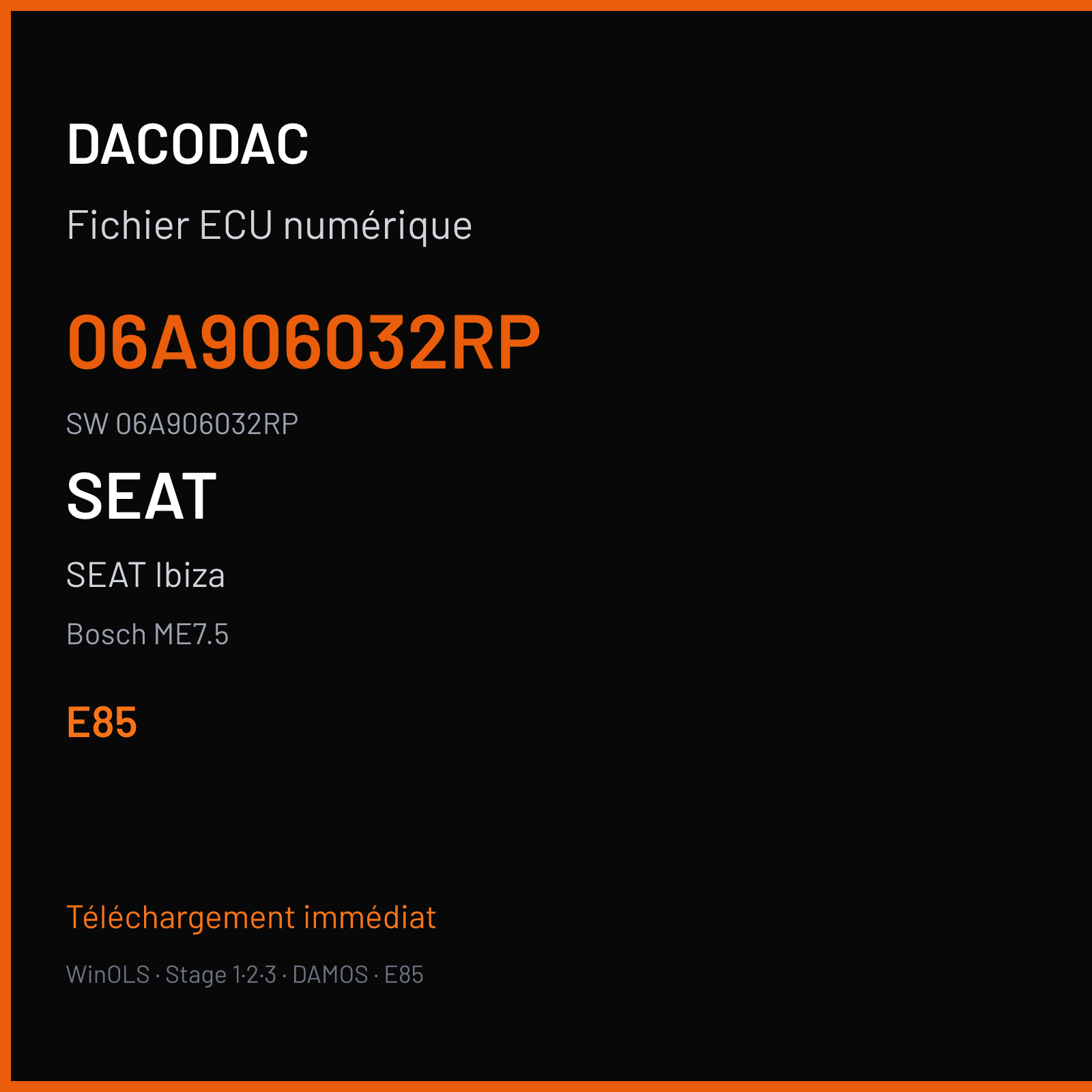 SEAT Ibiza — Bosch ME7.5 — 06A906032RP · 06A906032RP · 1037371739 — E85