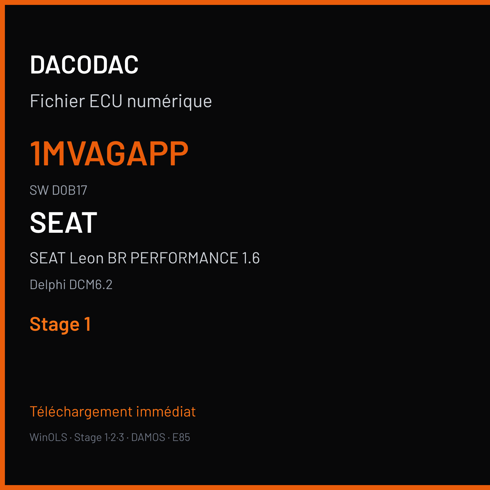 SEAT Leon BR PERFORMANCE 1.6 115 ch — Delphi DCM6.2 — 1MVAGAPP · D0B17 · 04L906056CL D0B17QAAAMS06 X545 — Stage 1
