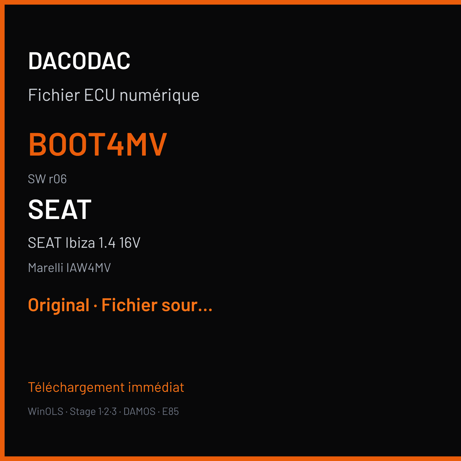 SEAT Ibiza 1.4 16V (2004) — Marelli IAW4MV — Boot4MV · r06 — Original