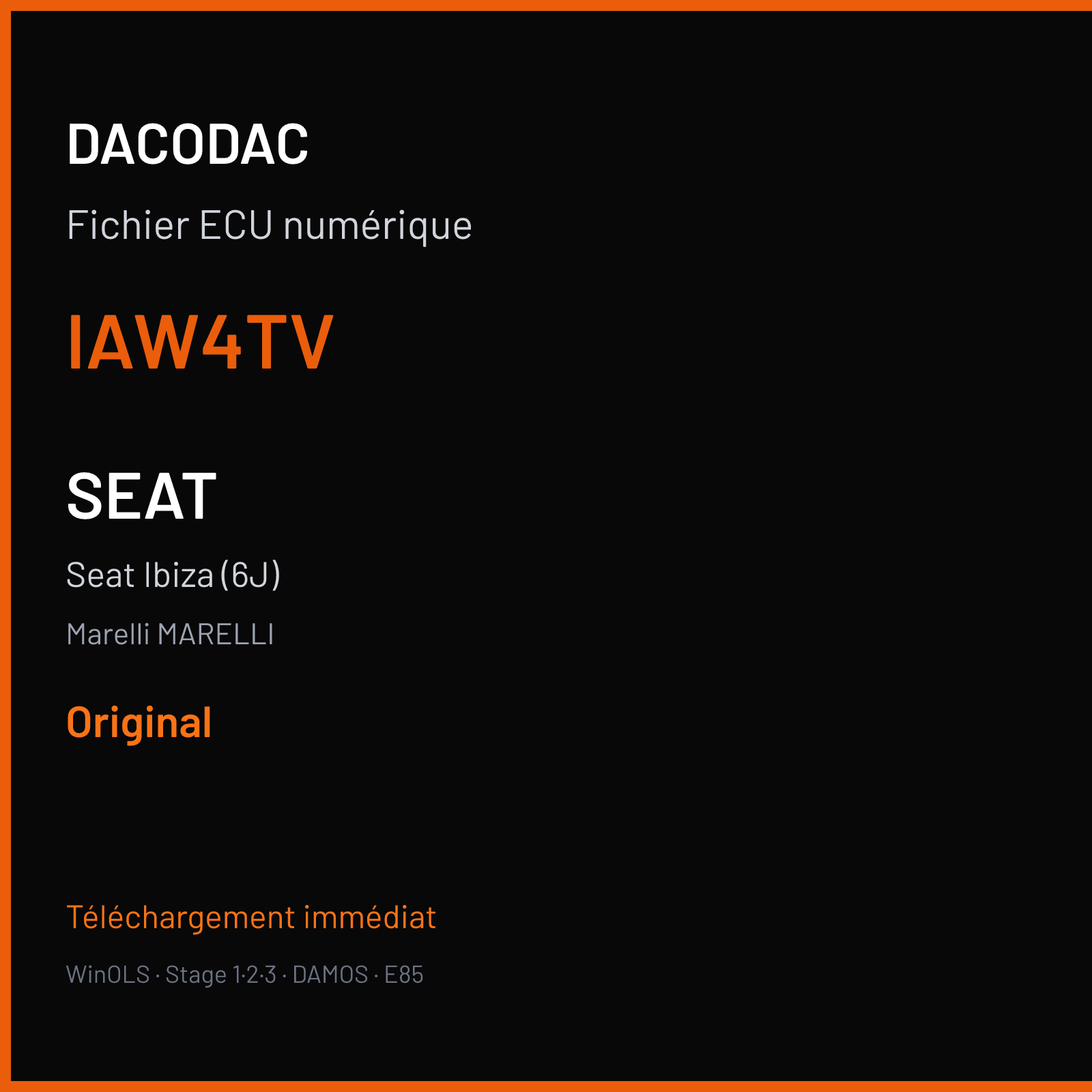 Seat Ibiza (6J) (2004) — Marelli MARELLI — IAW4TV — Original