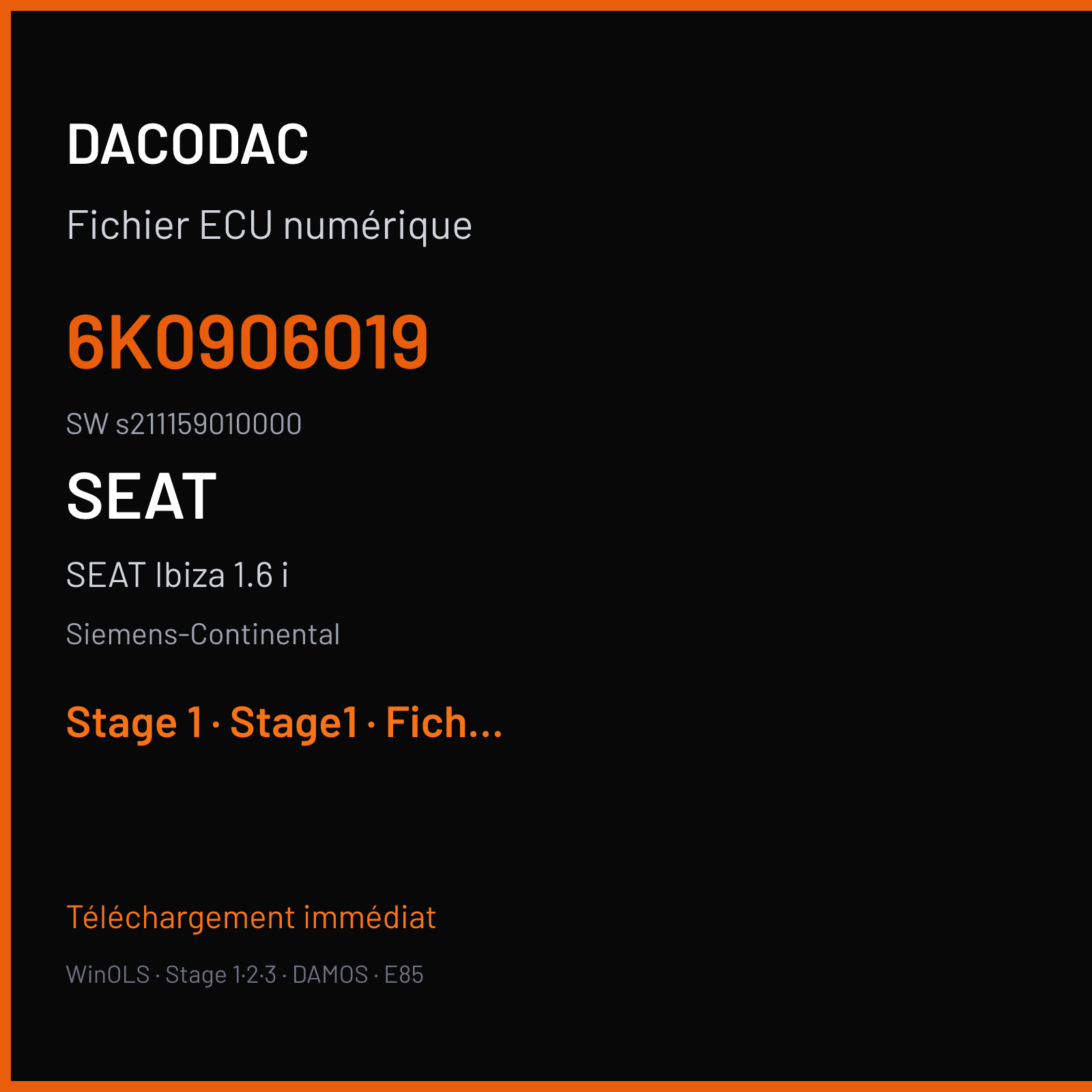 SEAT Ibiza 1.6 i (2006) — Siemens-Continental — 6K0906019 · s211159010000 — Stage 1