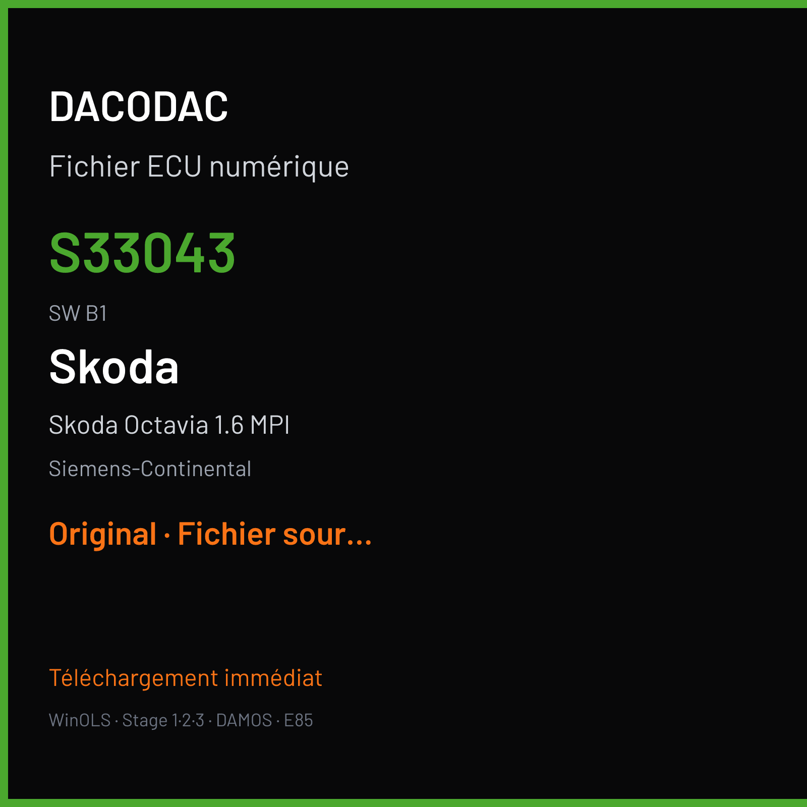 Skoda Octavia 1.6 MPI (2004) — Siemens-Continental — S33043 · B1 — Original