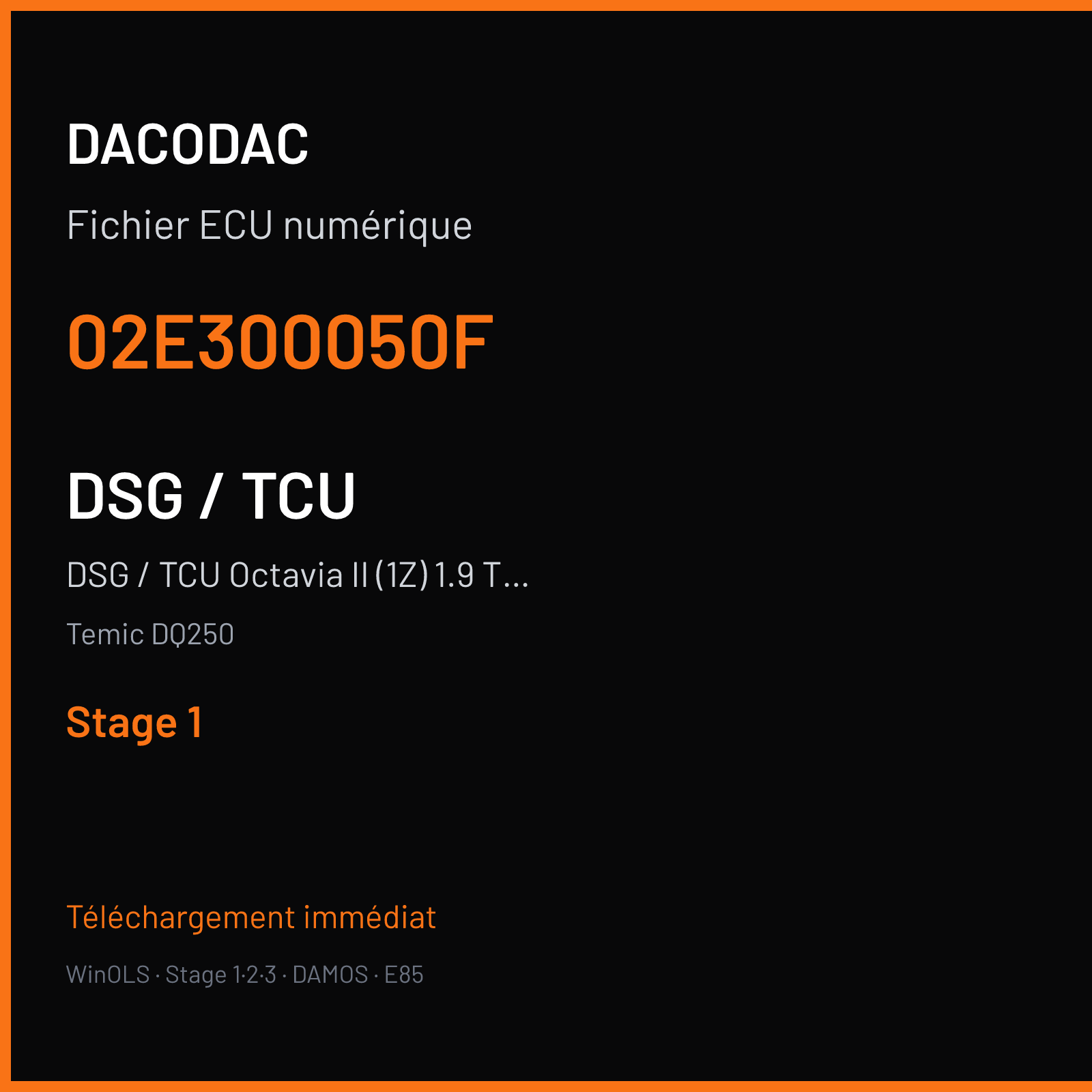 DSG / TCU Octavia II (1Z) 1.9 TDI (2003) — Temic DQ250 — 02E300050F — Stage 1