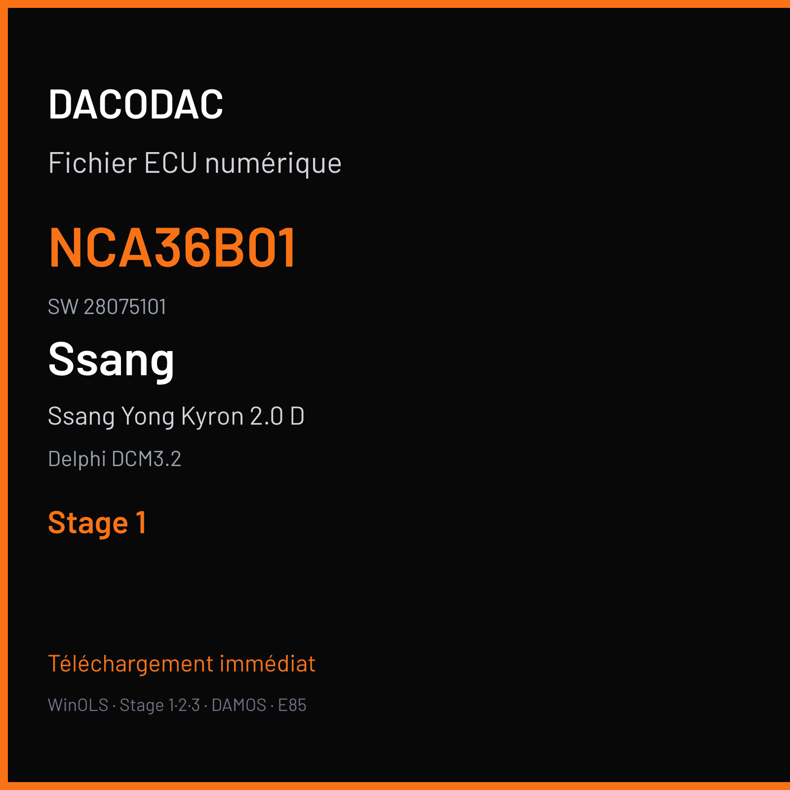 Ssang Yong Kyron 2.0 D 141 ch — Delphi DCM3.2 — NCA36B01 · 28075101 — Stage 1