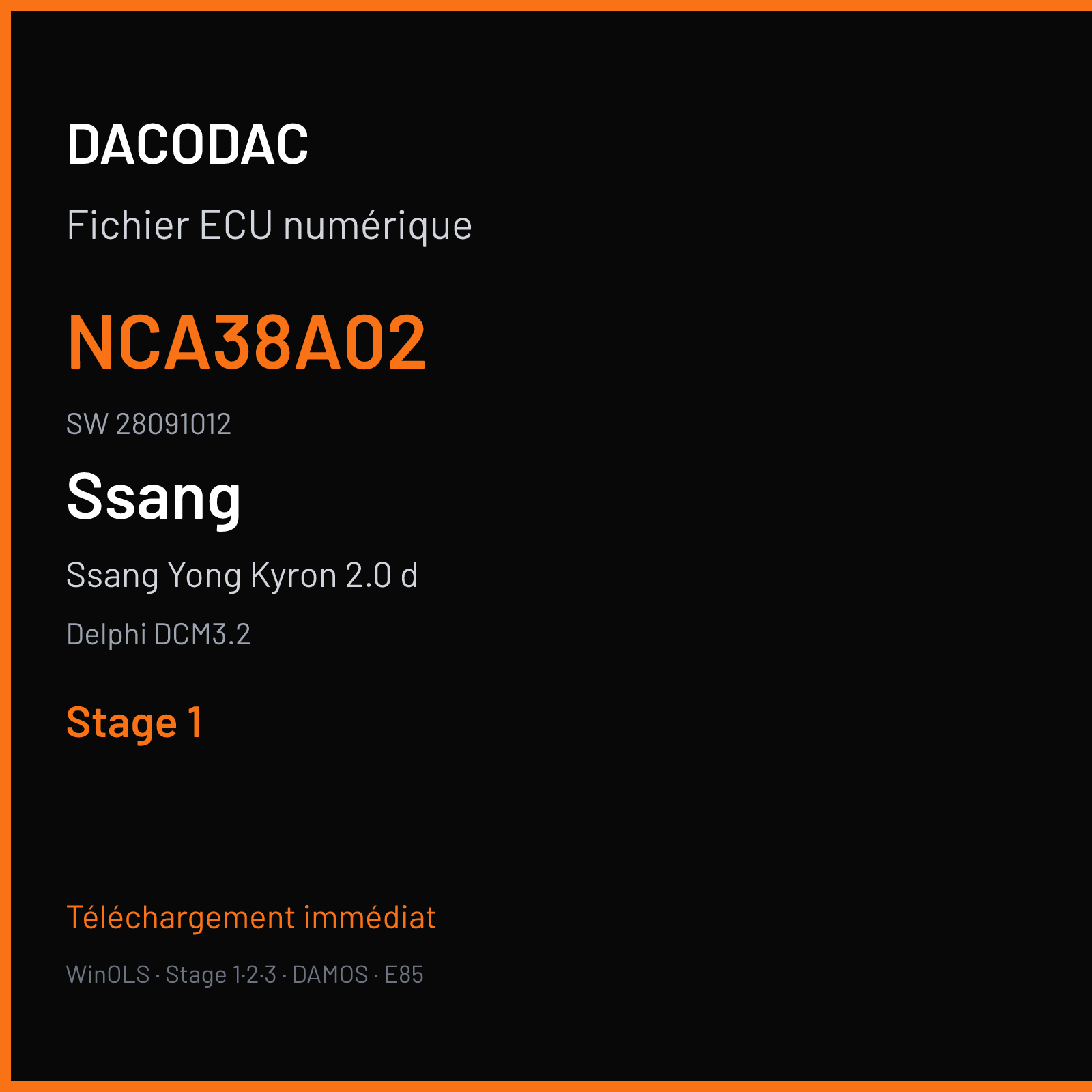 Ssang Yong Kyron 2.0 d 141 ch — Delphi DCM3.2 — NCA38A02 · 28091012 — Stage 1