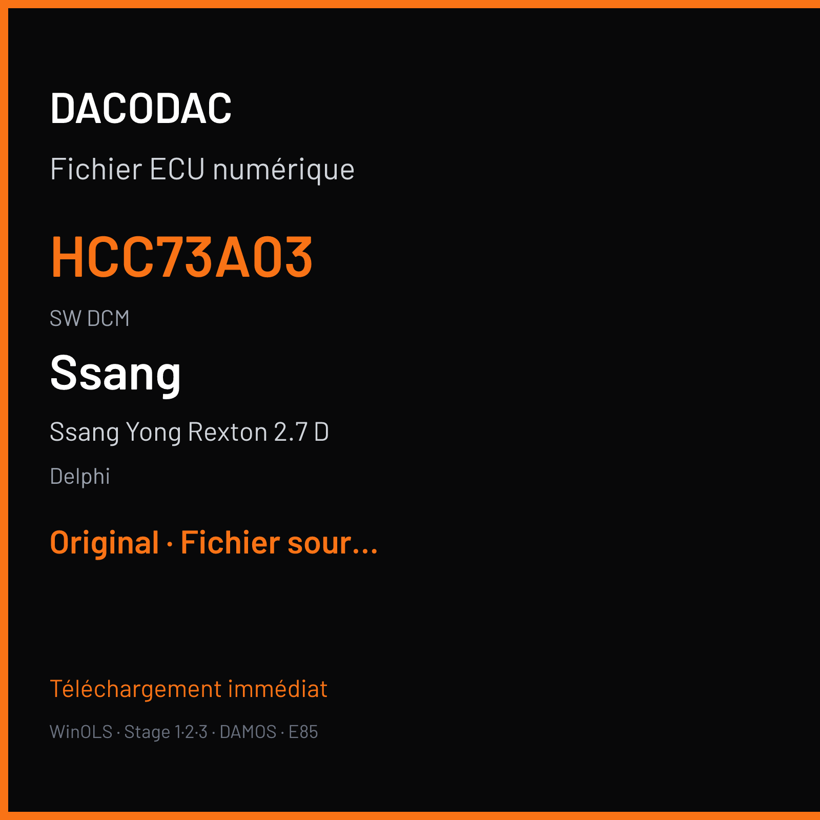 Ssang Yong Rexton 2.7 D (2005) — Delphi — HCC73A03 · DCM — Original