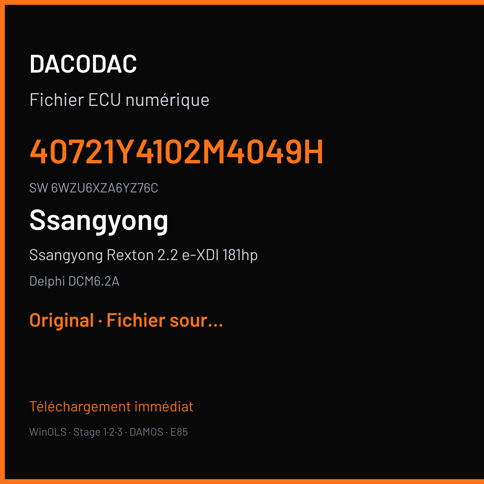 Ssangyong Rexton 2.2 e-XDI 181hp 181 ch (2020) — Delphi DCM6.2A — 40721Y4102M4049H · 6WZU6XZA6YZ76C · 1MSSYAPP D407D21 049 D22DTR Y410S 4MT DOM — Original