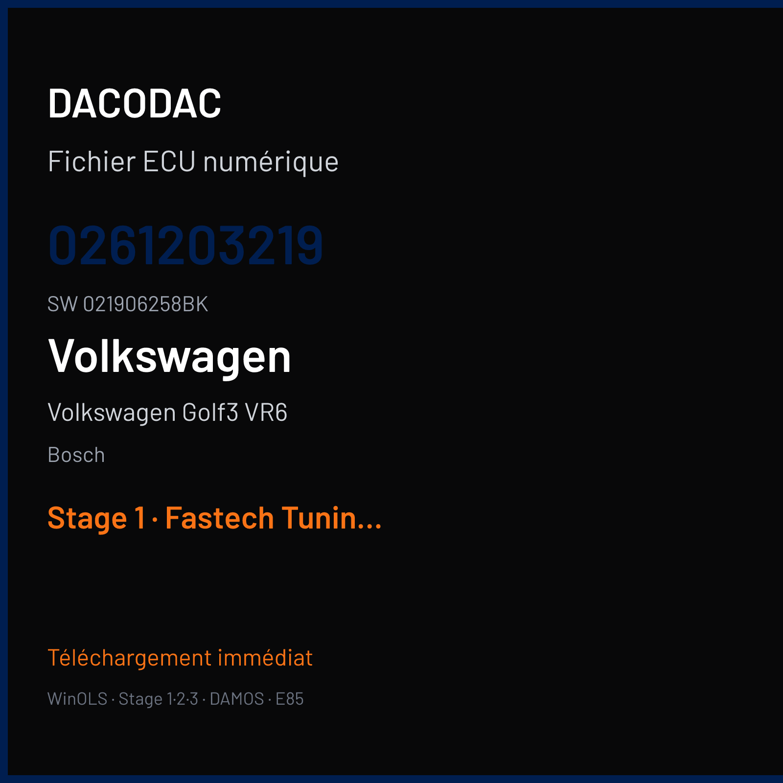Volkswagen Golf3 VR6 174 ch (1994) — Bosch — 0261203219 · 021906258BK · 358109 — Stage 1
