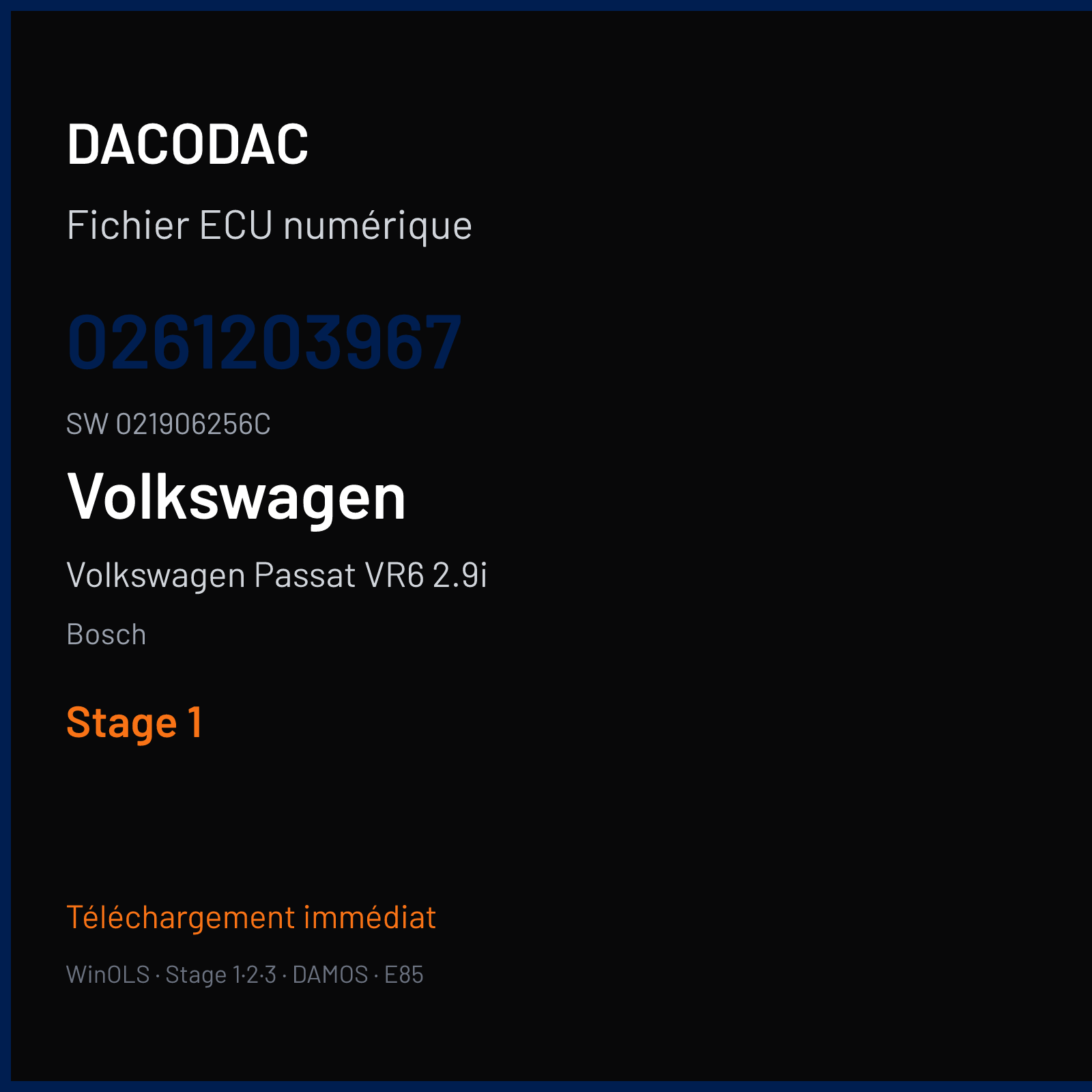 Volkswagen Passat VR6 2.9i 185 ch — Bosch — 0261203967 · 021906256C · 355937 Undefined — Stage 1