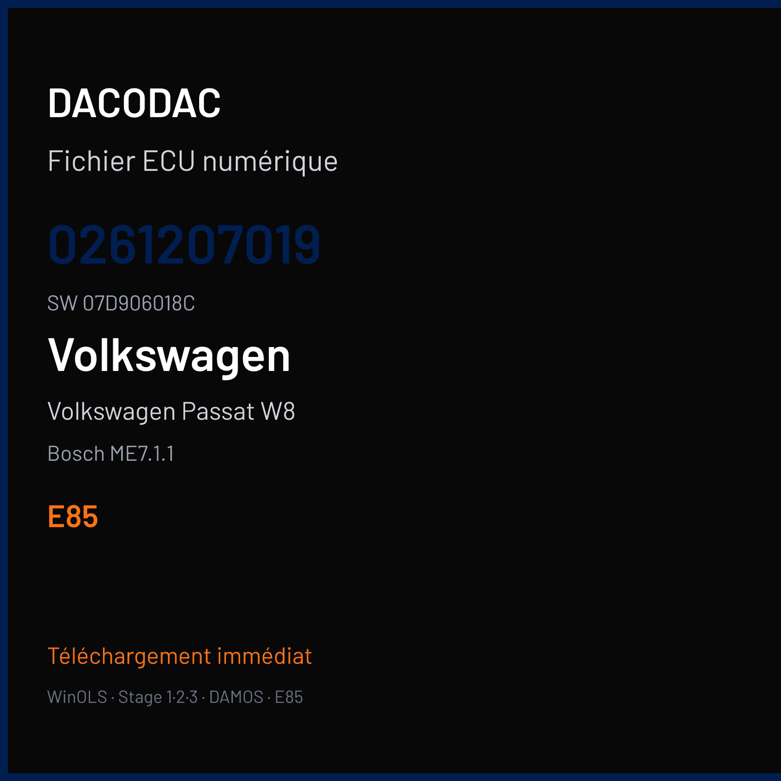Volkswagen Passat W8 275 ch — Bosch ME7.1.1 — 0261207019 · 07D906018C · 366337 — E85