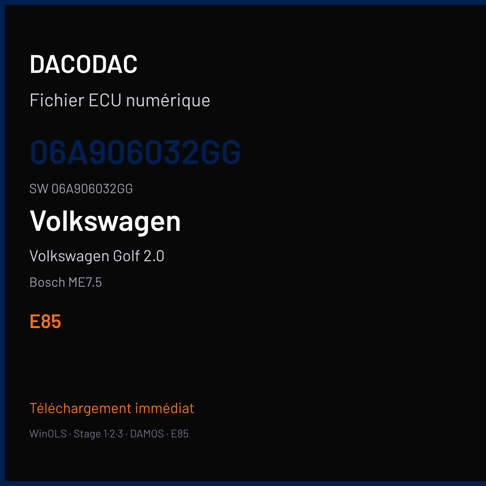 Volkswagen Golf 2.0 115 ch — Bosch ME7.5 — 06A906032GG · 06A906032GG · 363048 — E85