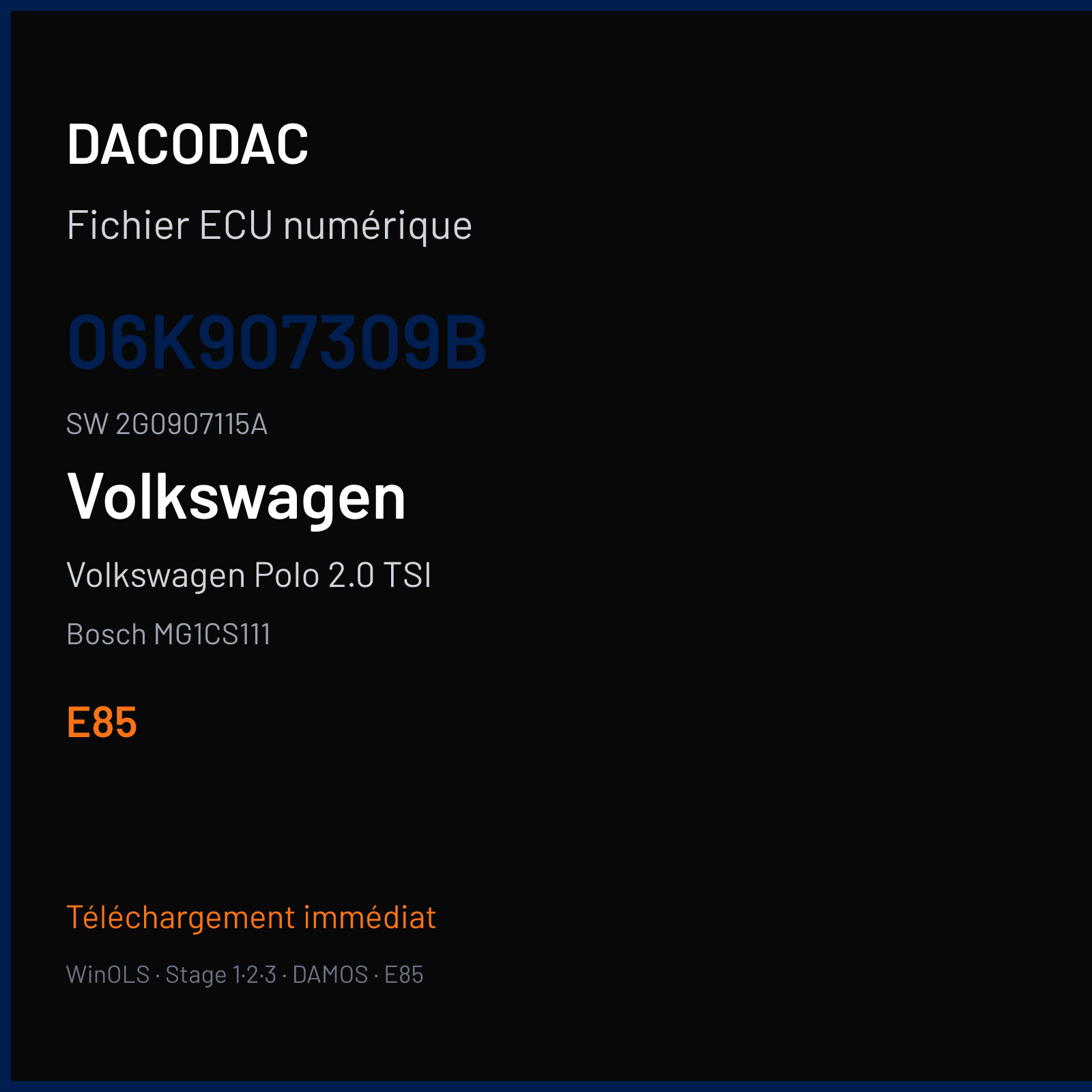 Volkswagen Polo 2.0 TSI 200 ch (2017) — Bosch MG1CS111 — 06K907309B · 2G0907115A · 047293 — E85