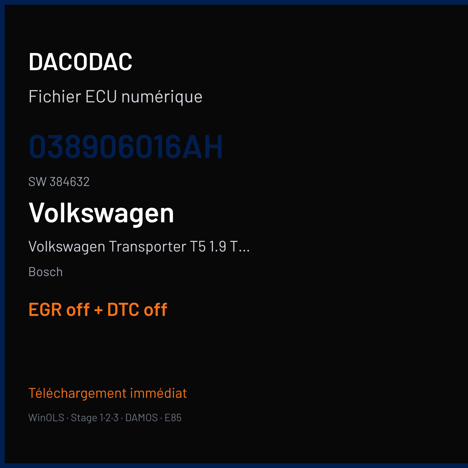 Volkswagen Transporter T5 1.9 TDI (2007) — Bosch — 038906016AH · 384632 — EGR off + DTC off