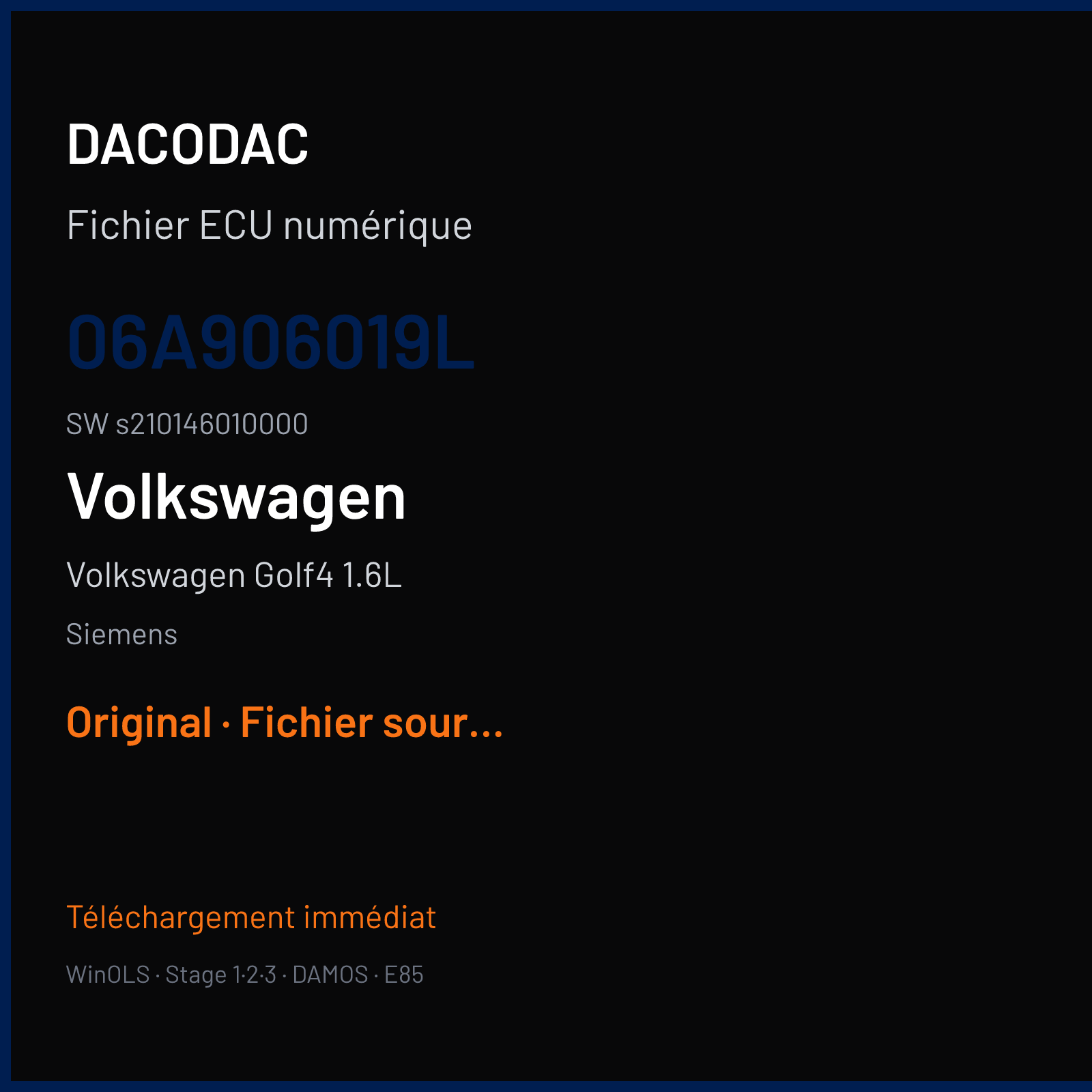 Volkswagen Golf4 1.6L (1998) — Siemens — 06A906019L · s210146010000 — Original
