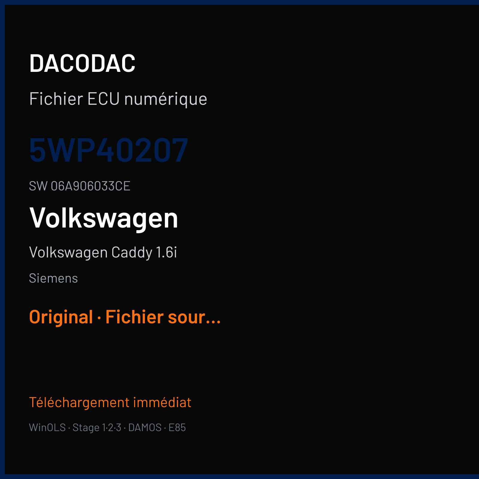 Volkswagen Caddy 1.6i 102 ch (2004) — Siemens — 5WP40207 · 06A906033CE · S712011000000 Undefined — Original