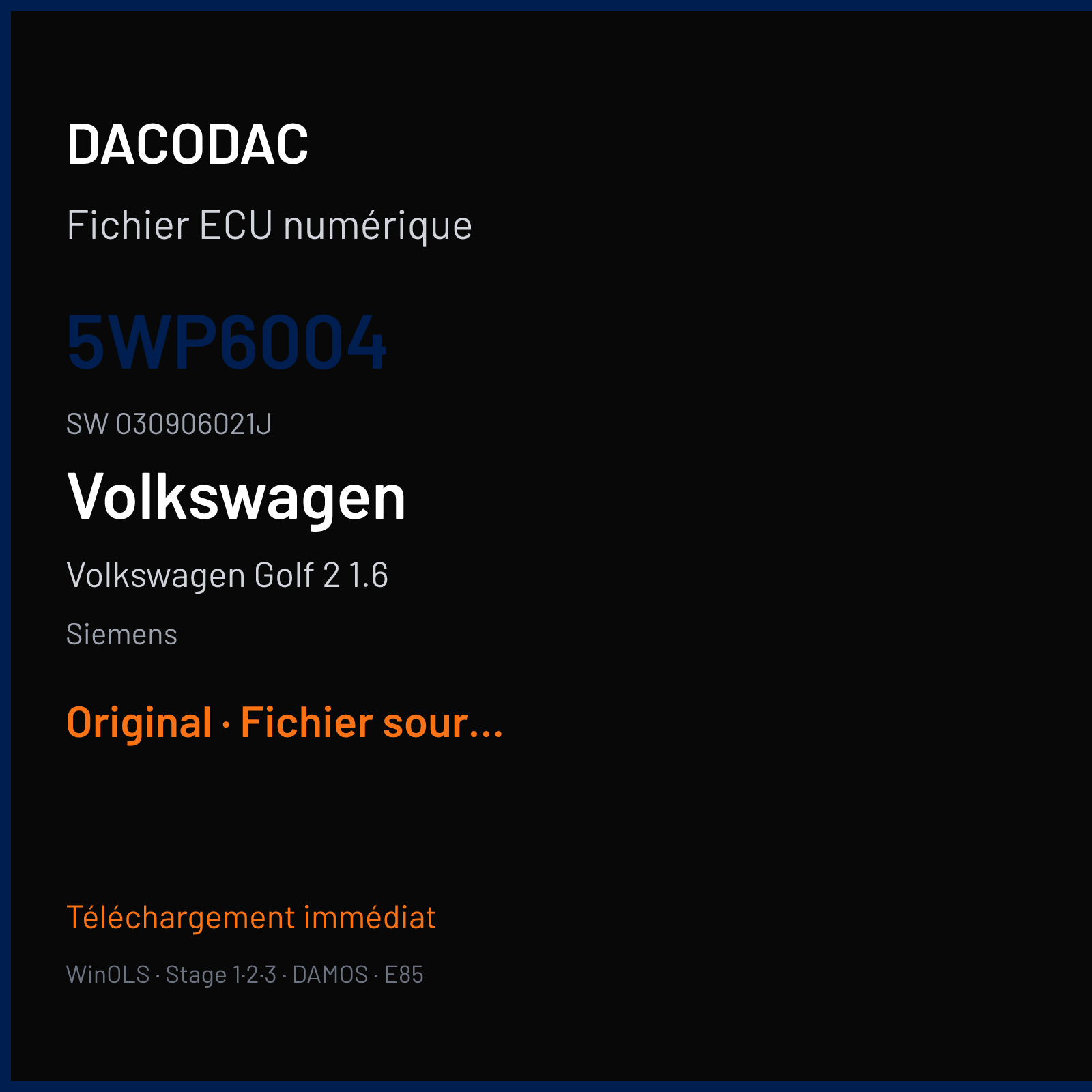 Volkswagen Golf 2 1.6 (1990) — Siemens — 5WP6004 · 030906021J — Original