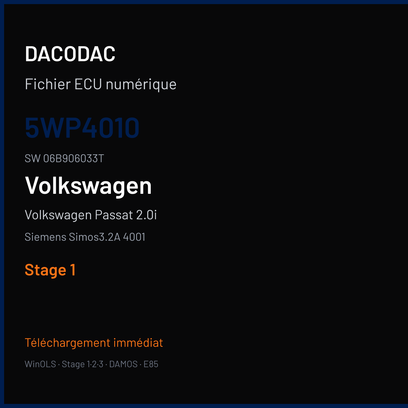 Volkswagen Passat 2.0i 115 ch (2002) — Siemens Simos3.2A 4001 — 5WP4010 · 06B906033T · 247607 F024 — Stage 1