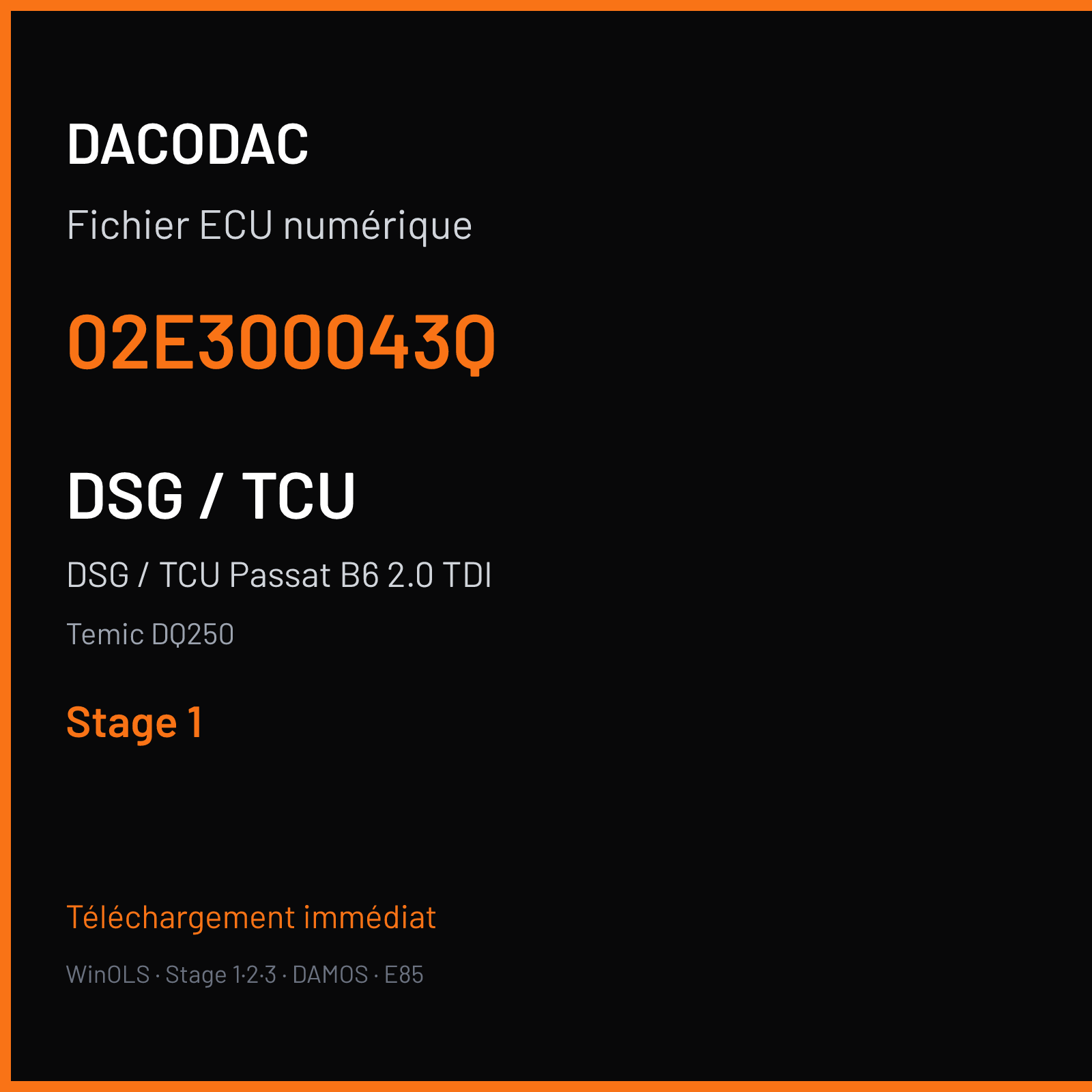 DSG / TCU Passat B6 2.0 TDI (2007) — Temic DQ250 — 02E300043Q — Stage 1