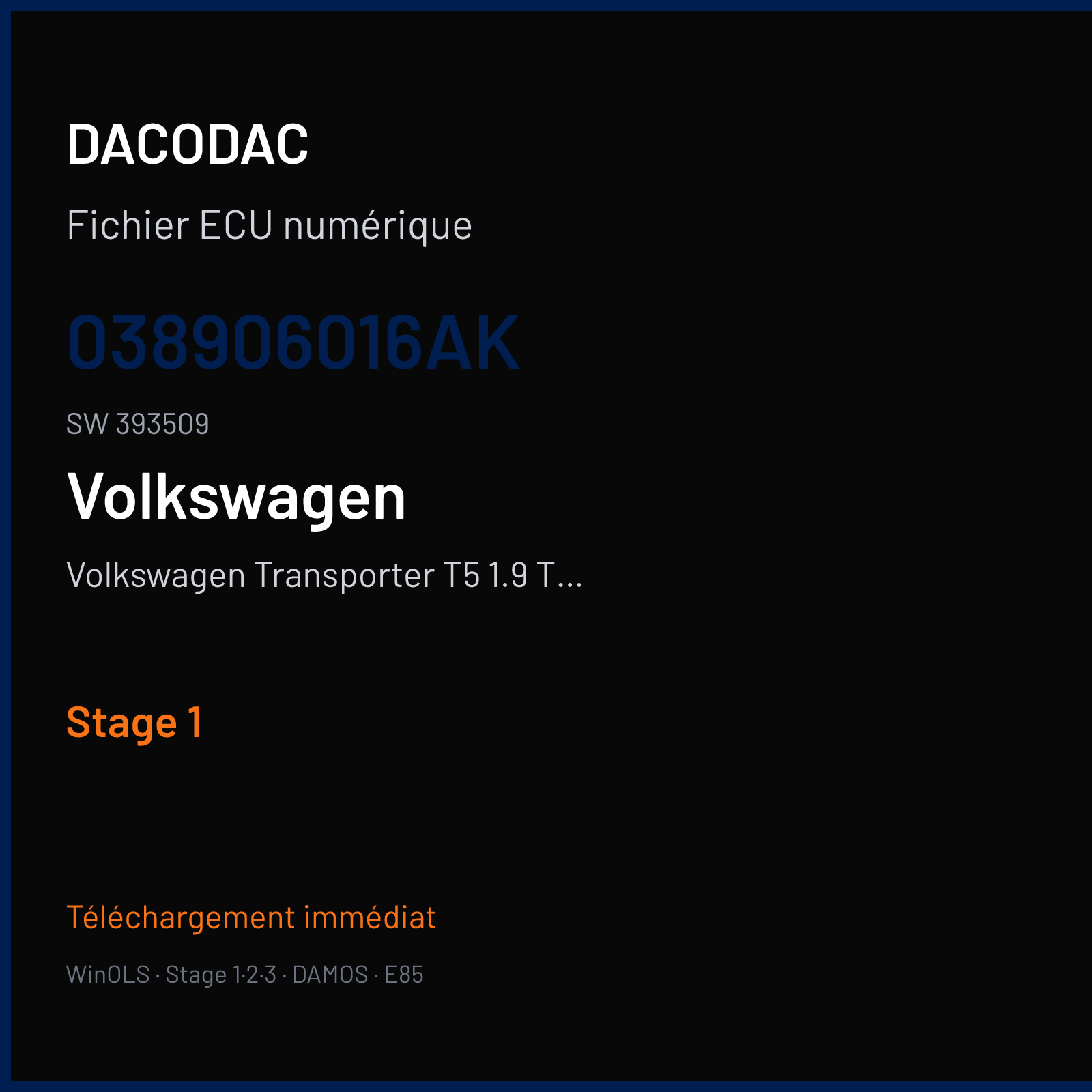 Volkswagen Transporter T5 1.9 TDI (2008) — 038906016AK · 393509 — Stage 1